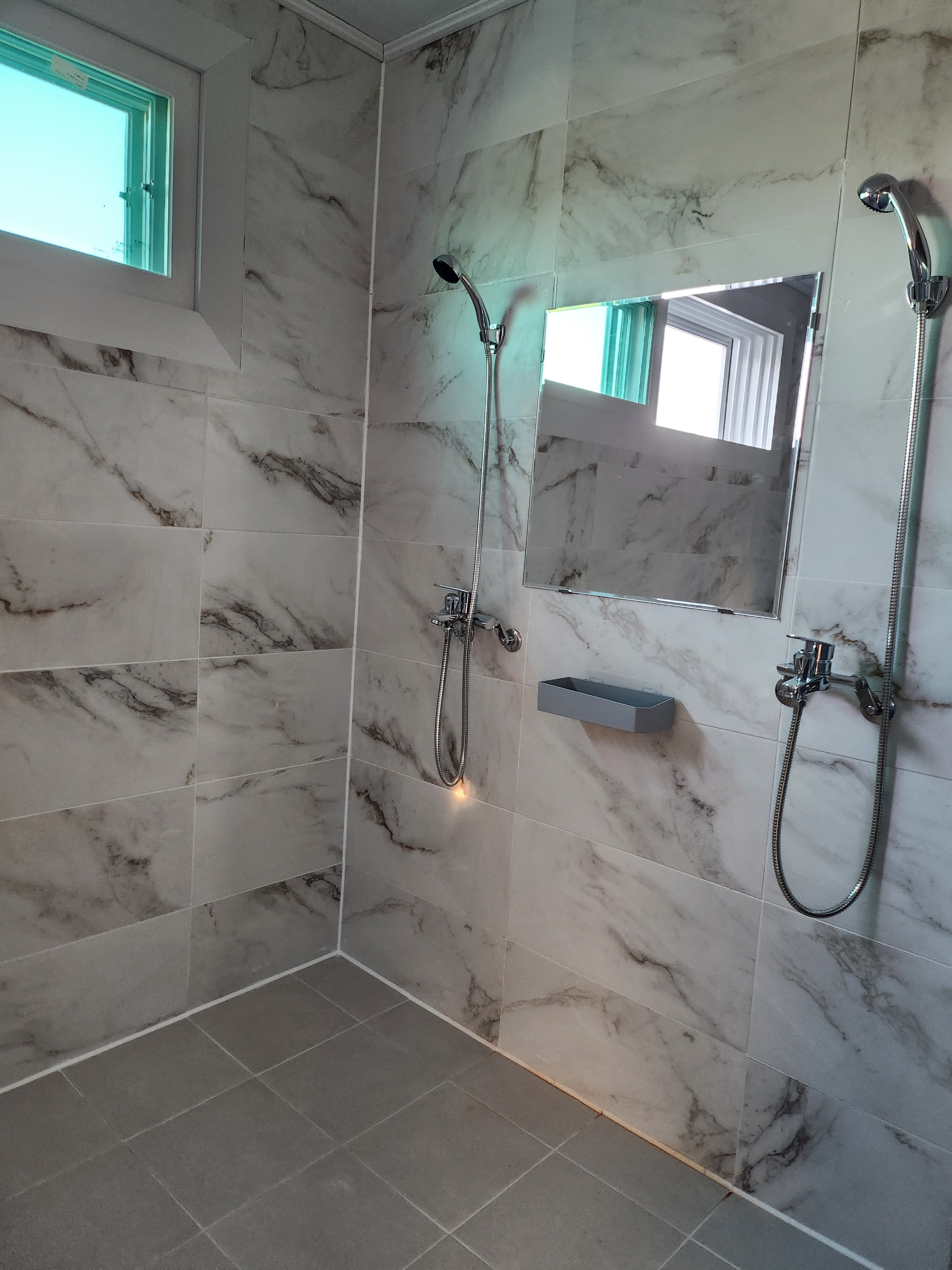 나무와 쉬리 이미지