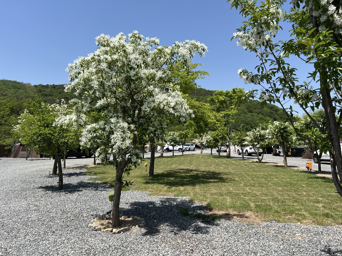 빨래터캠핑장 이미지