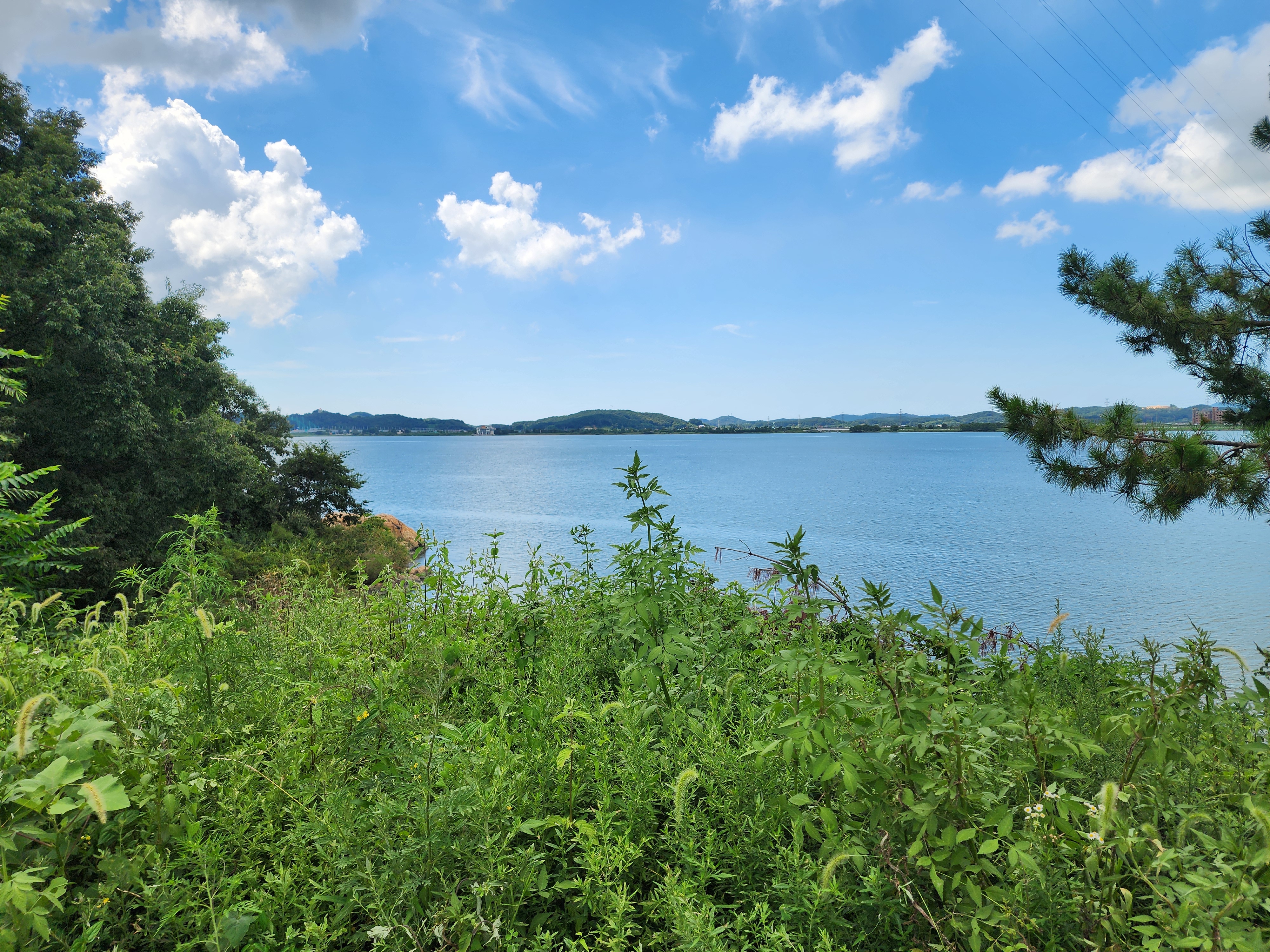 금강호 국민여가 캠핑장 13번째 이미지