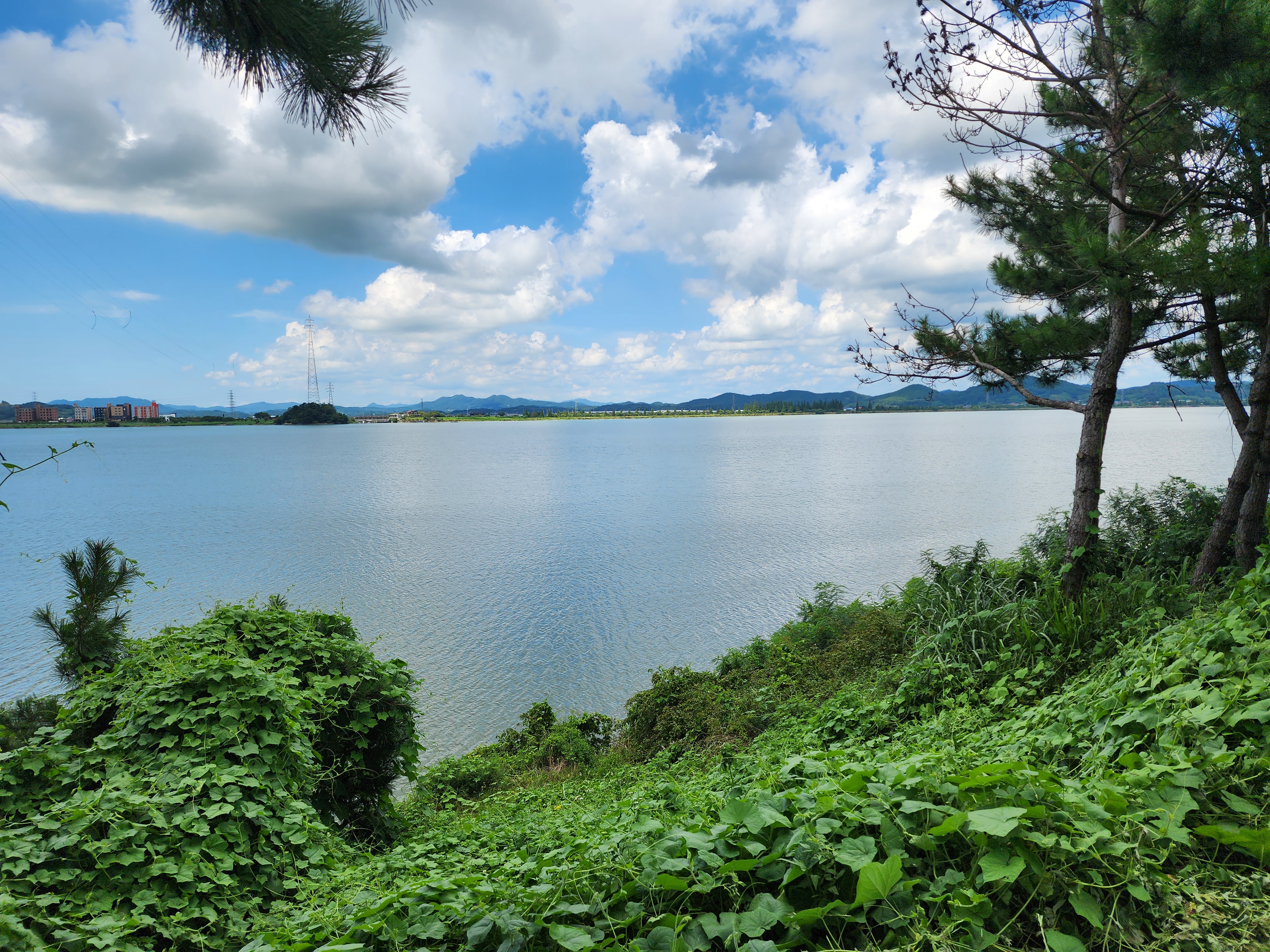 금강호 국민여가 캠핑장 41번째 이미지