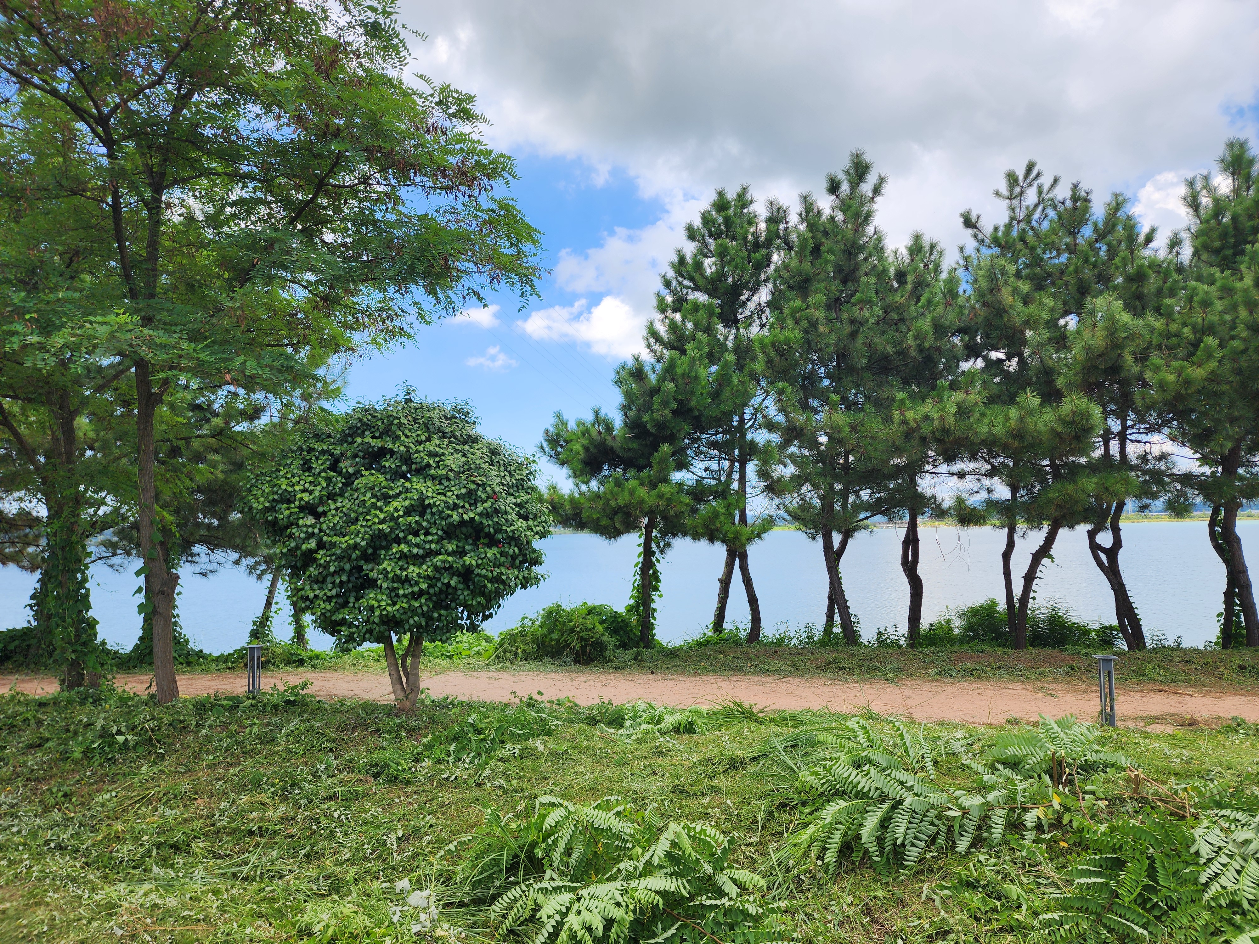 금강호 국민여가 캠핑장 12번째 이미지