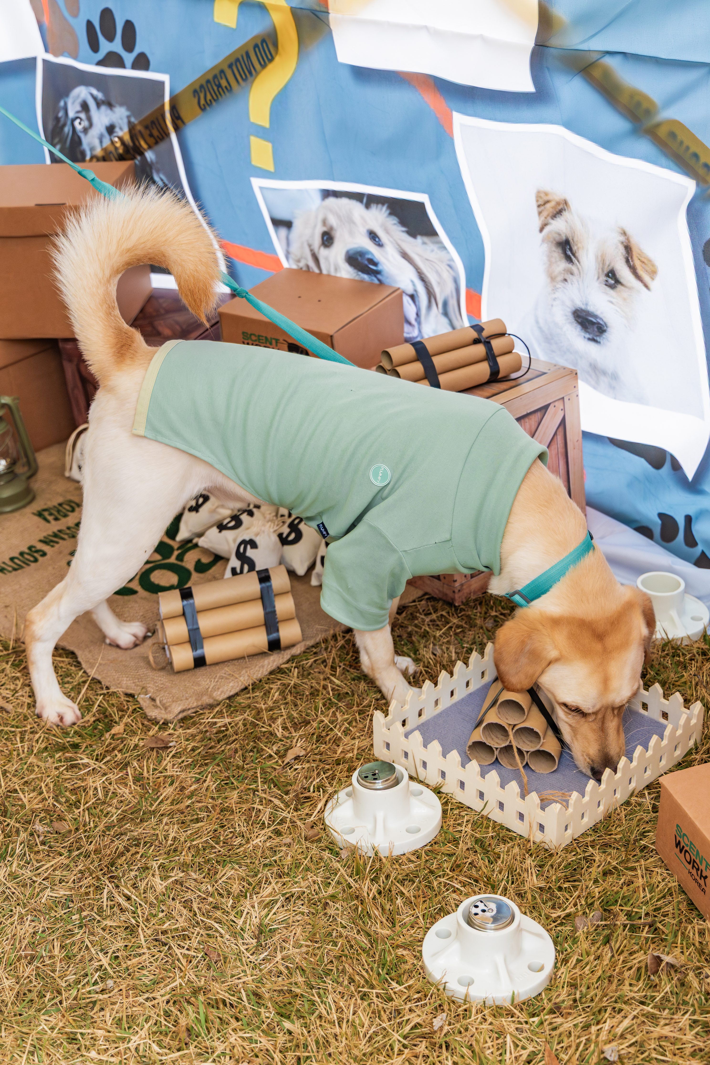 강천섬캠핑장 이미지