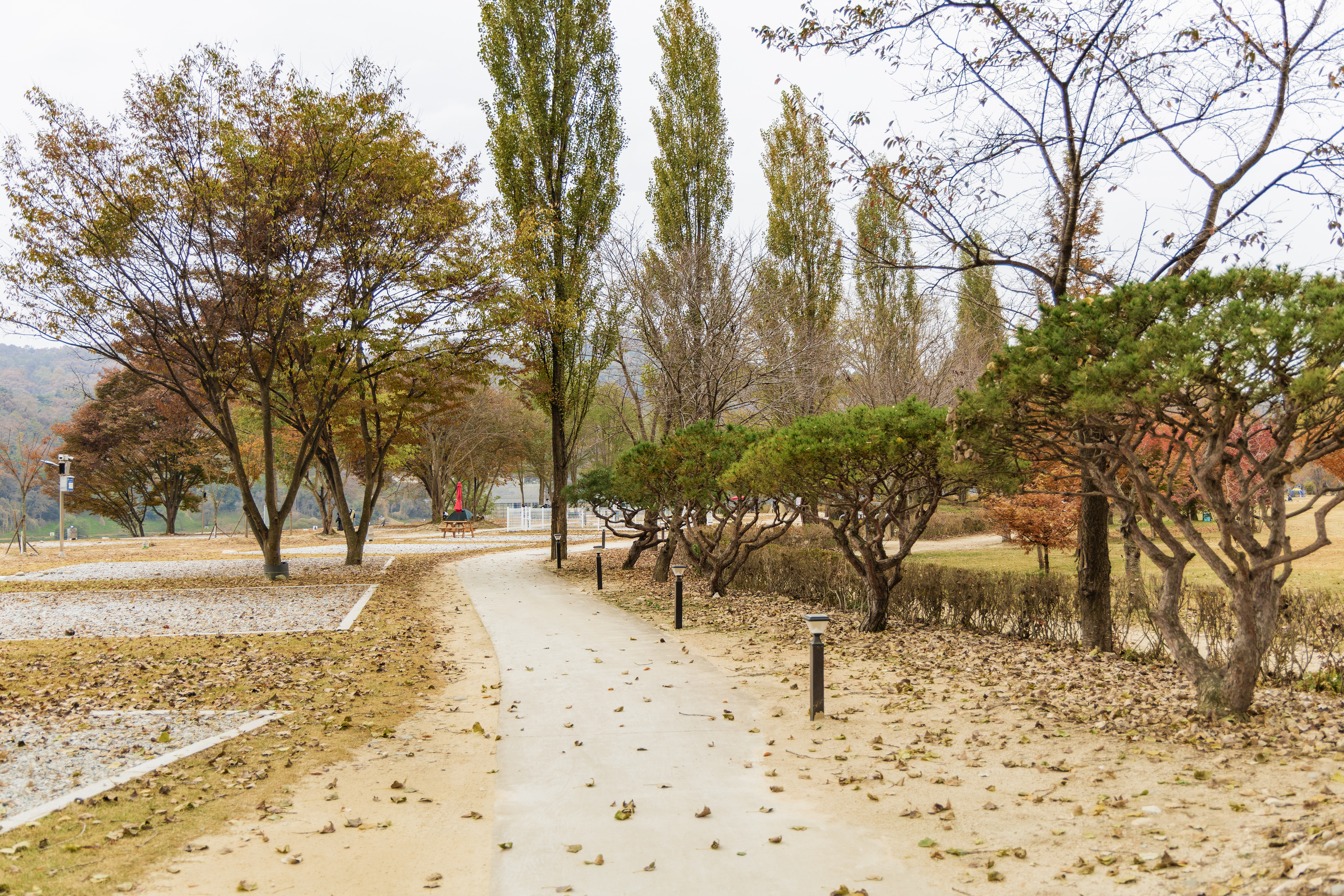 강천섬캠핑장 이미지
