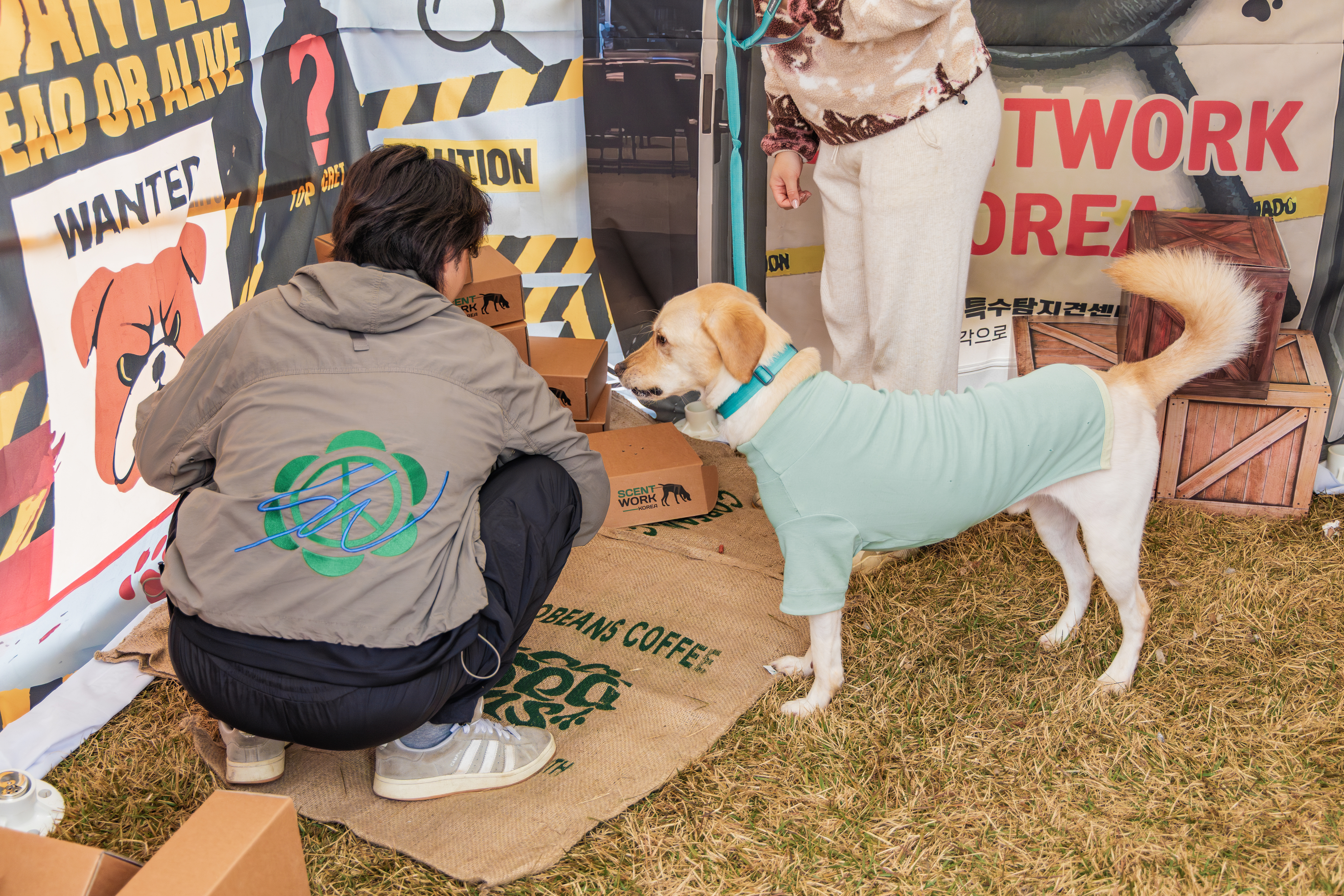 강천섬캠핑장 이미지
