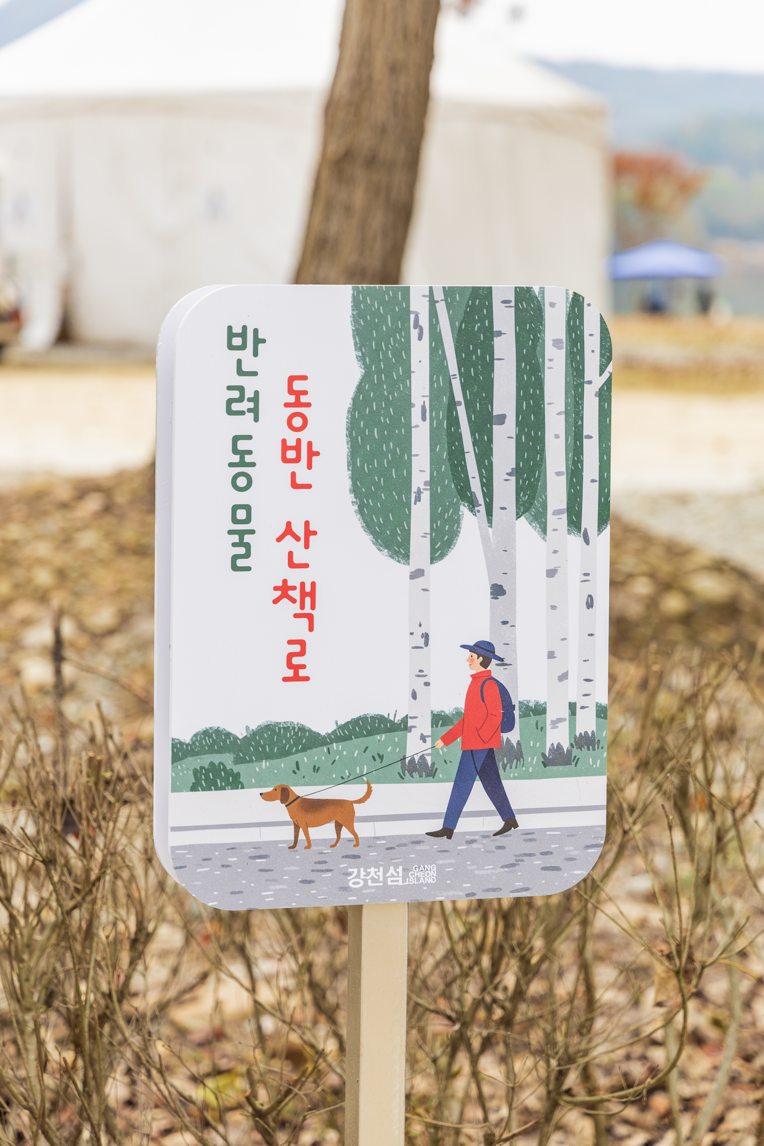 강천섬캠핑장 이미지