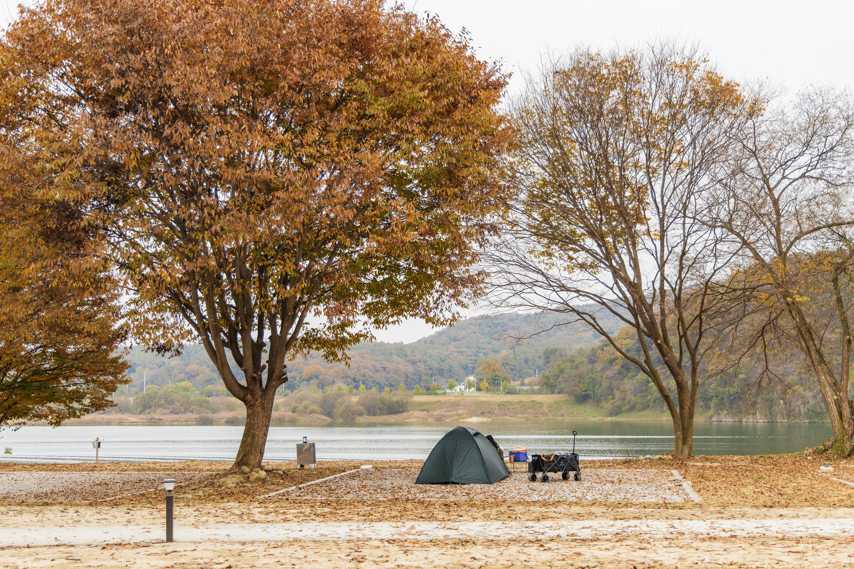 강천섬캠핑장 이미지