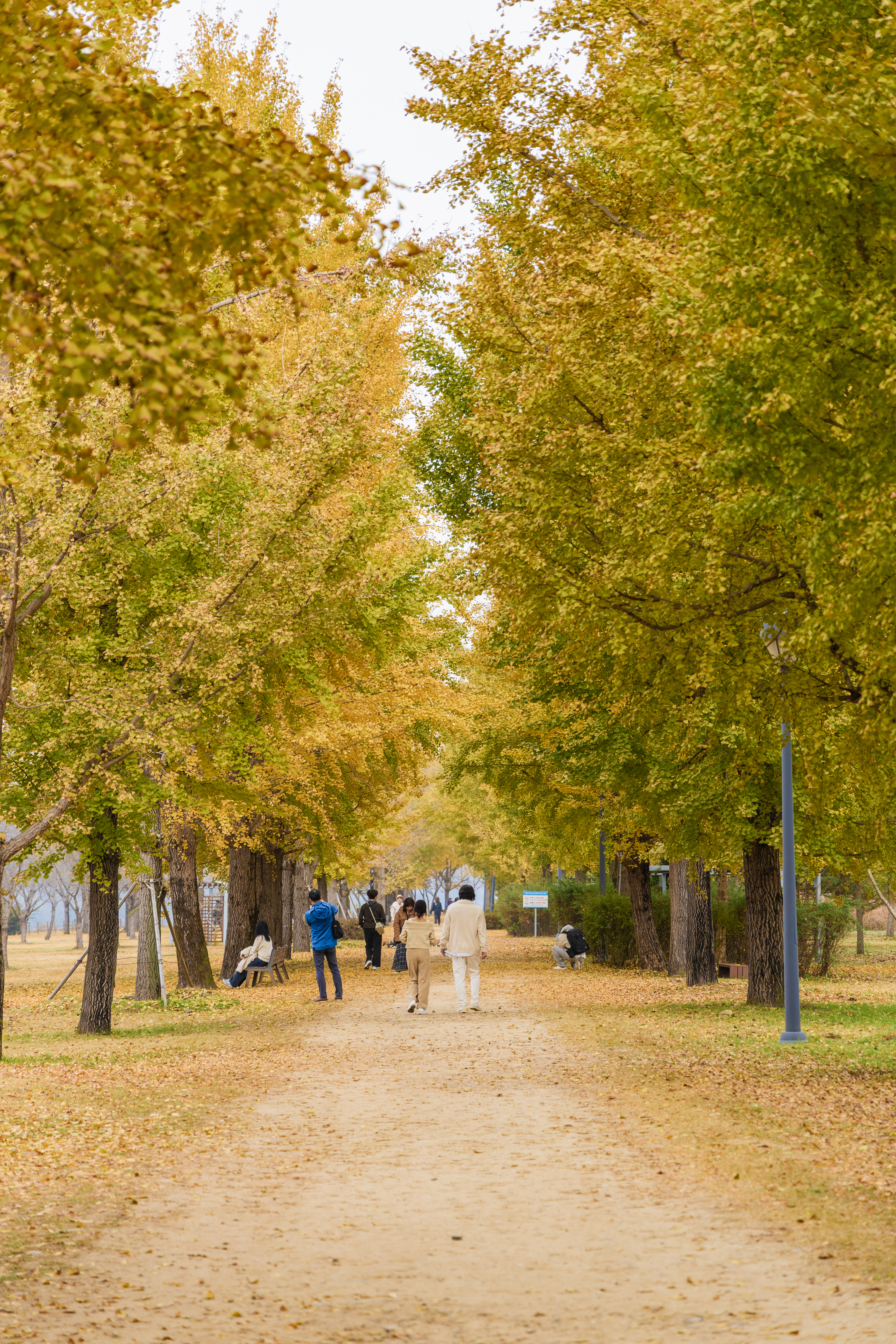 강천섬캠핑장 이미지