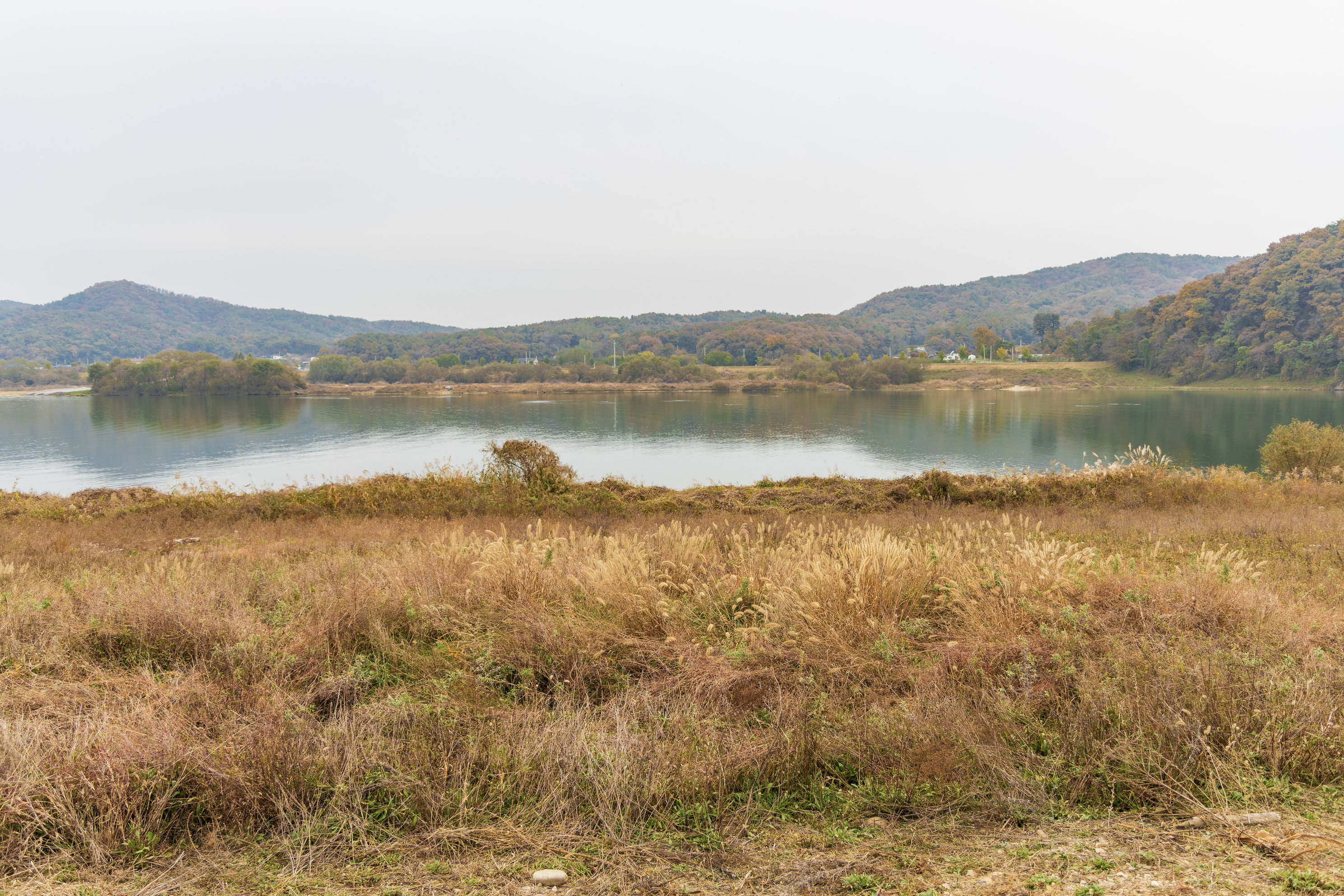 강천섬캠핑장 이미지