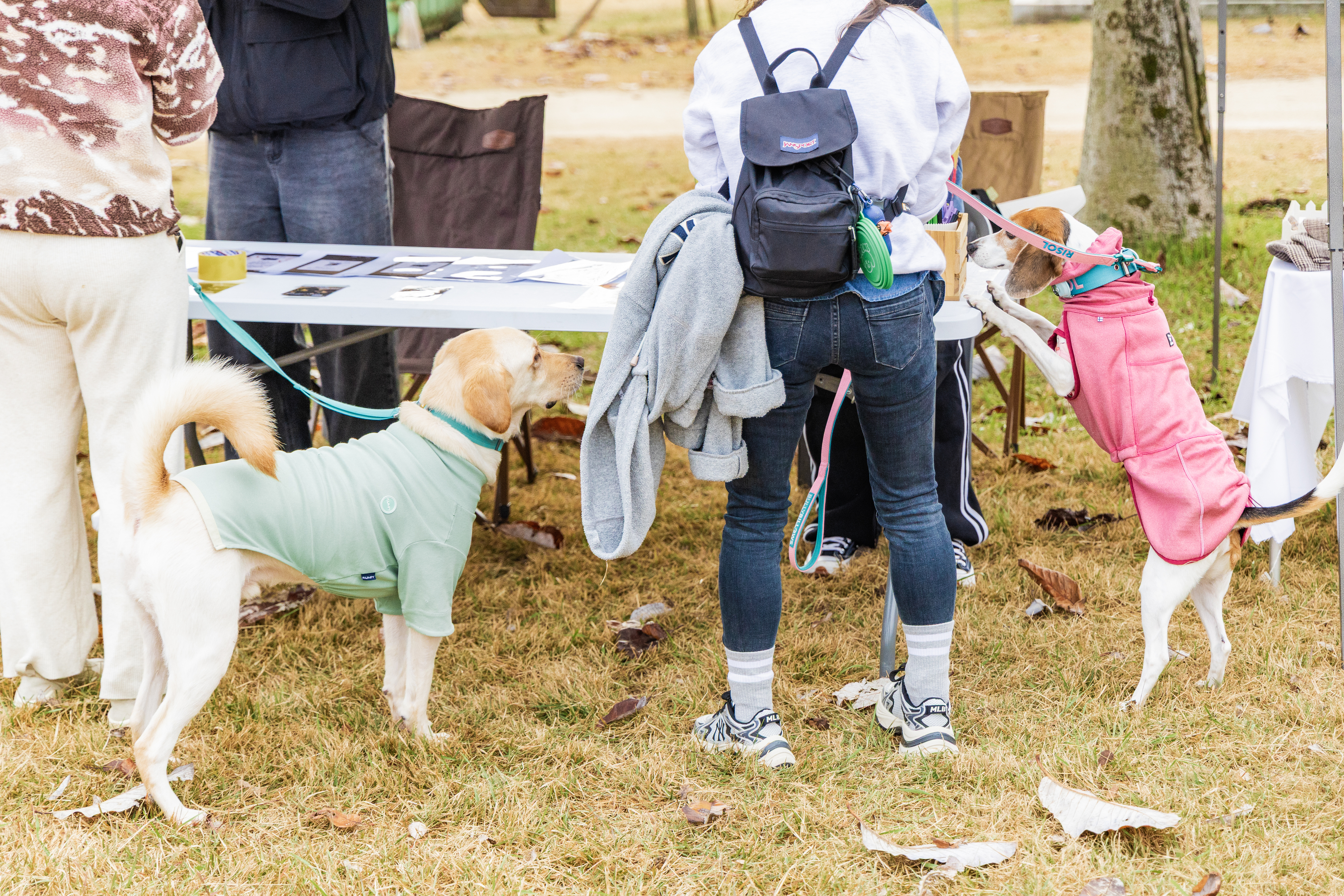 강천섬캠핑장 이미지