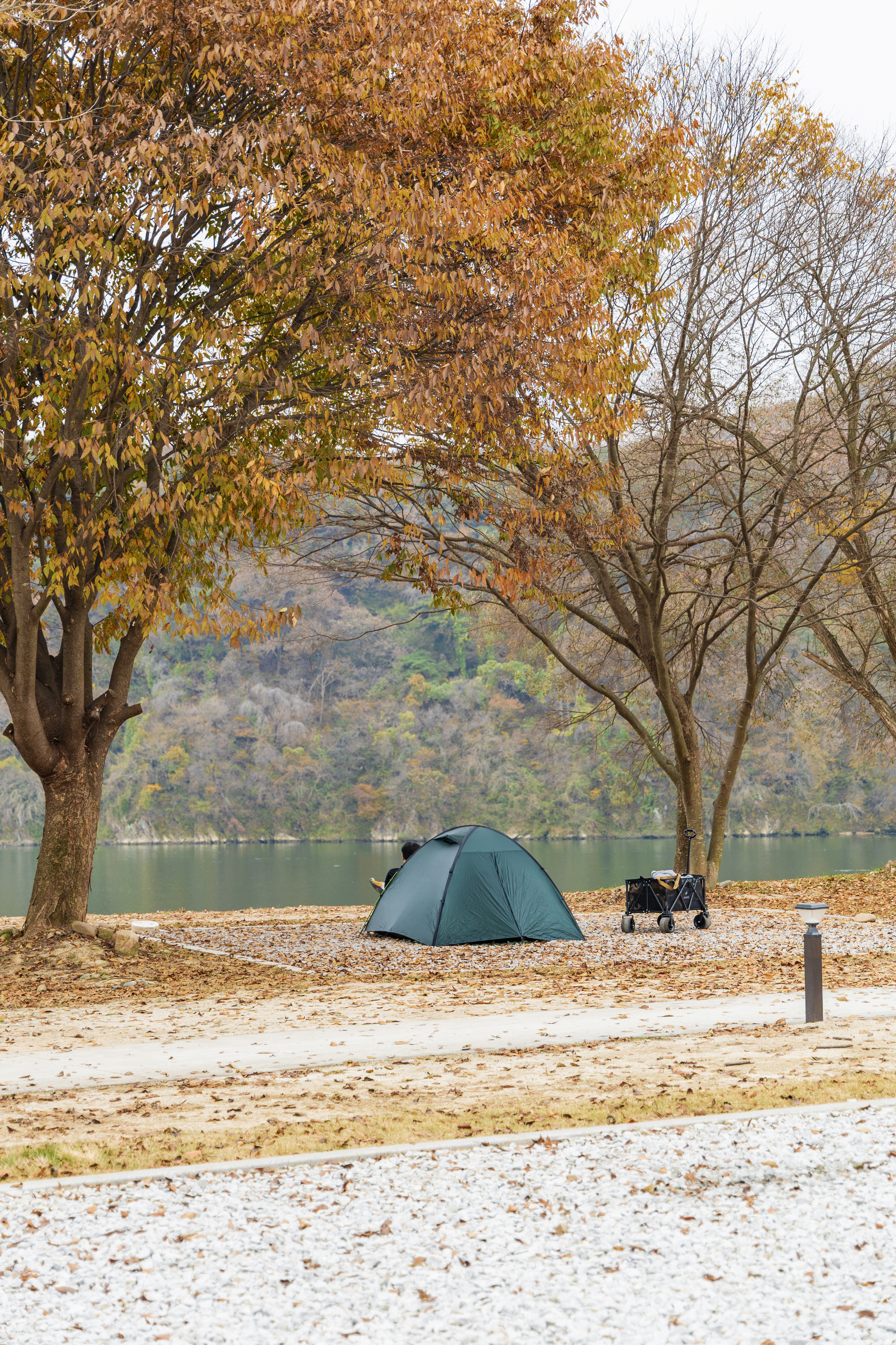 강천섬캠핑장 이미지