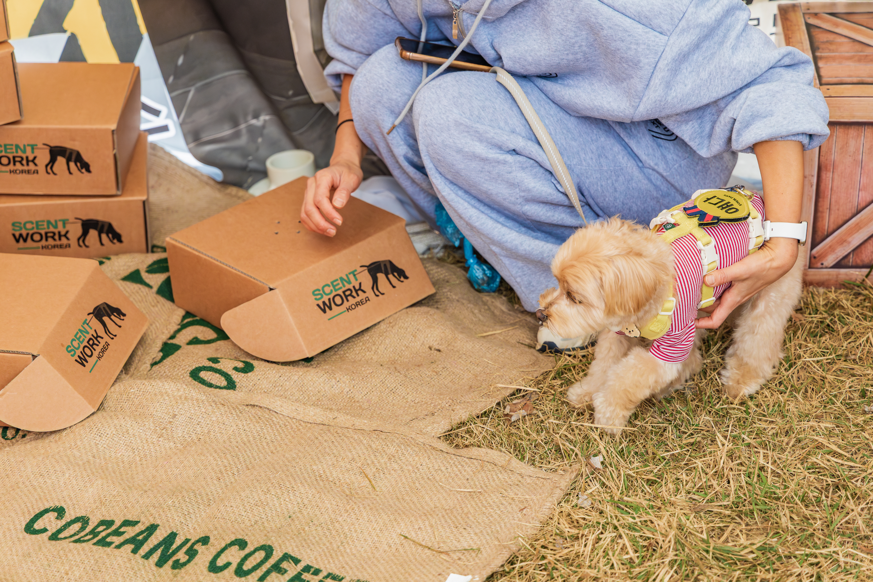 강천섬캠핑장 이미지
