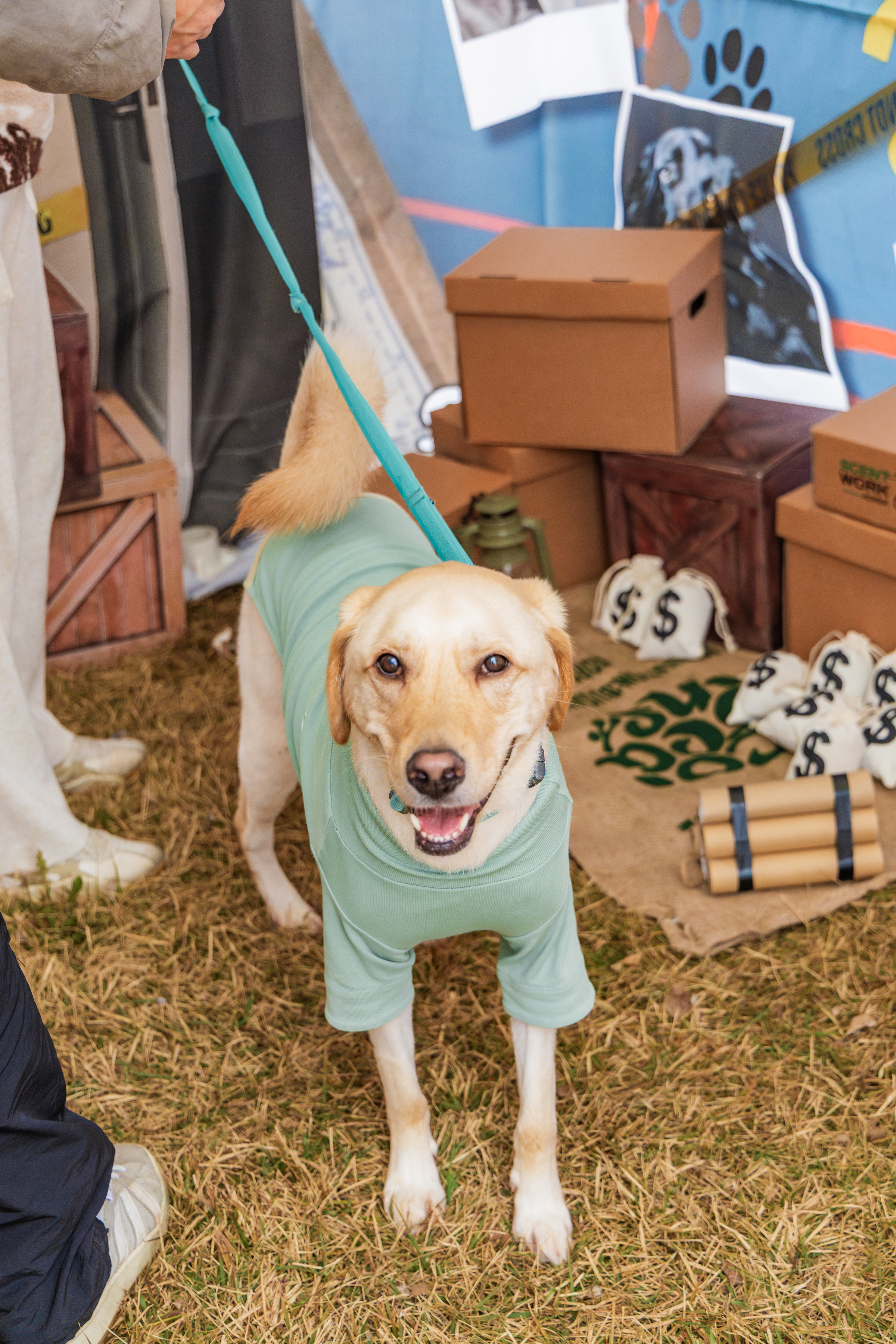 강천섬캠핑장 이미지