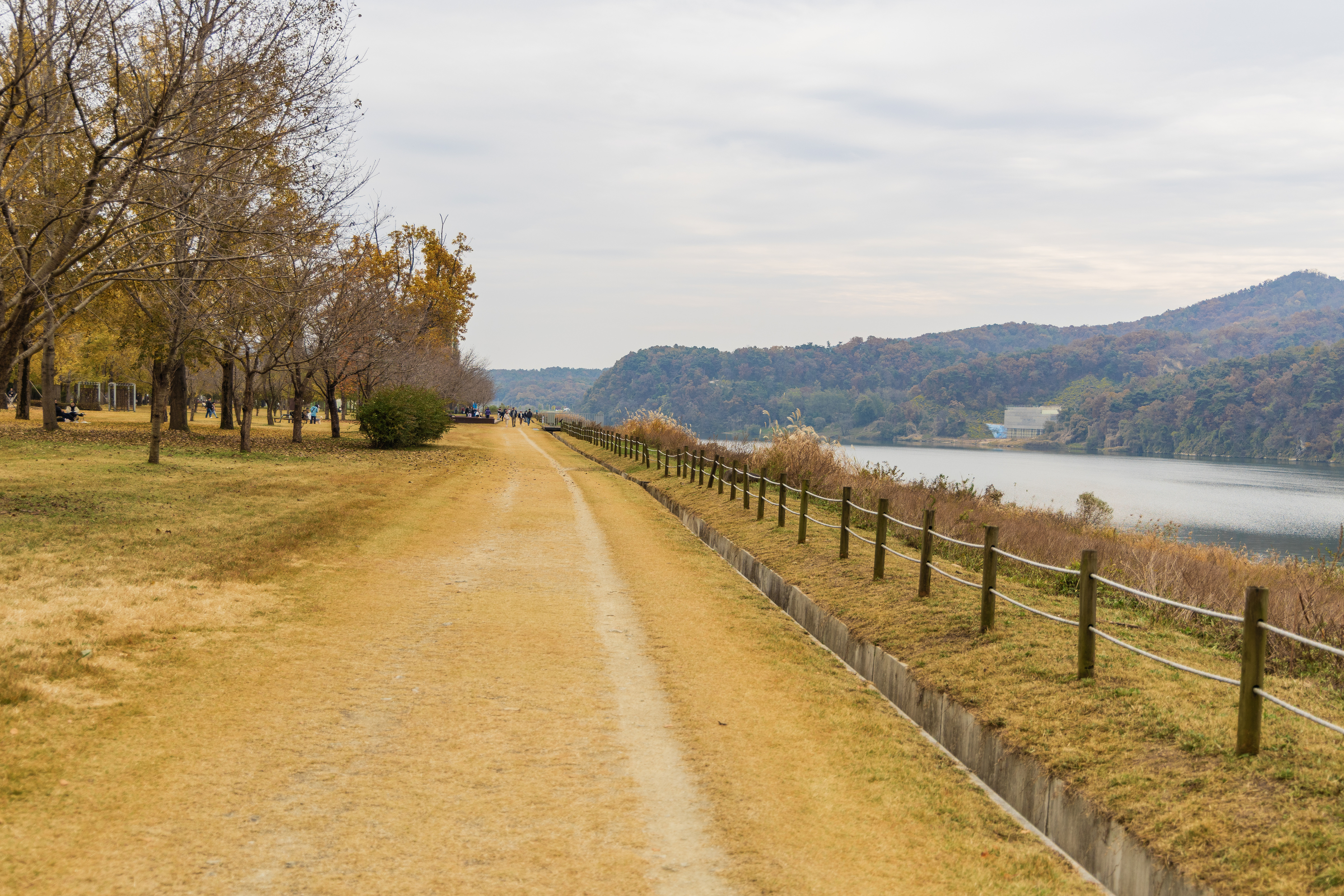 강천섬캠핑장 이미지