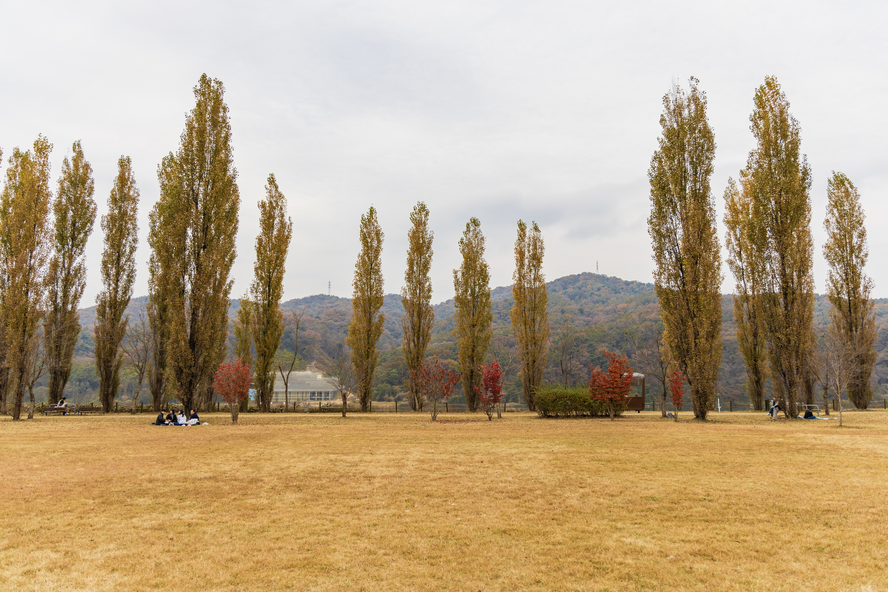 강천섬캠핑장 이미지