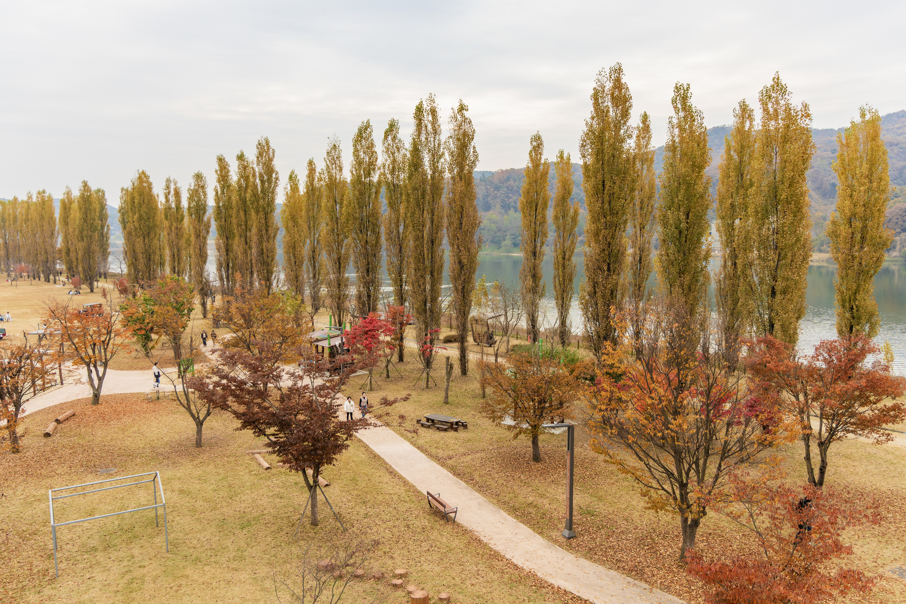 강천섬캠핑장 이미지