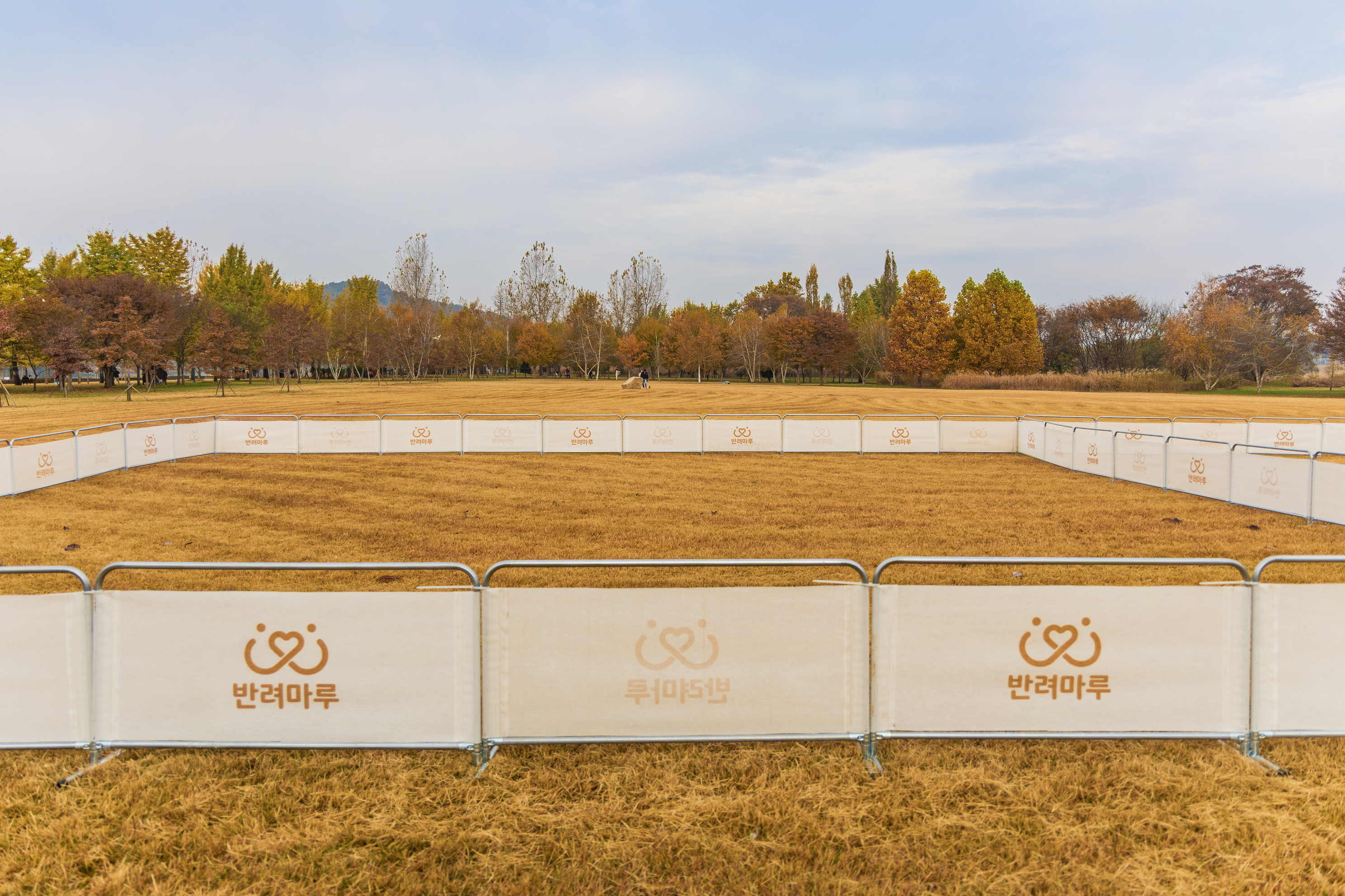 강천섬캠핑장 이미지