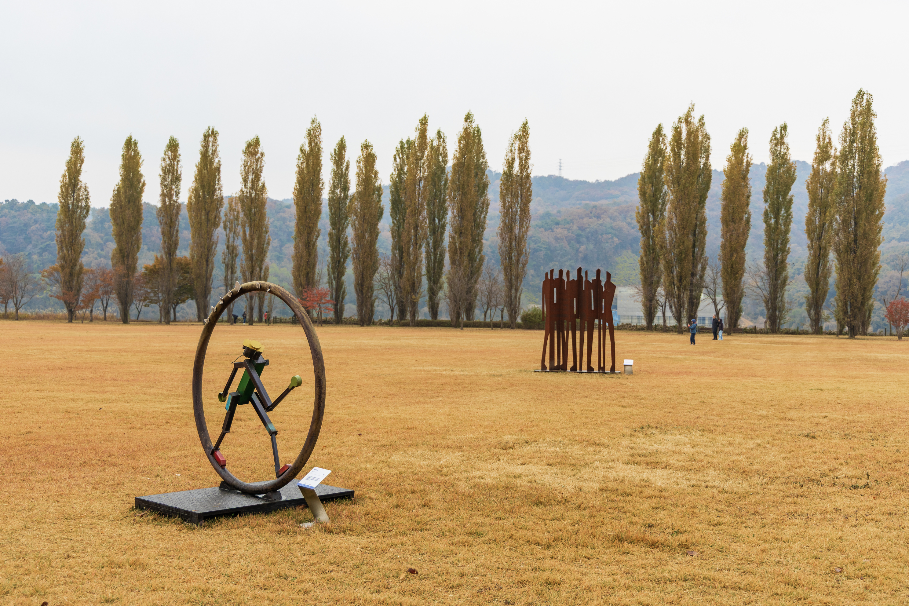 강천섬캠핑장 이미지