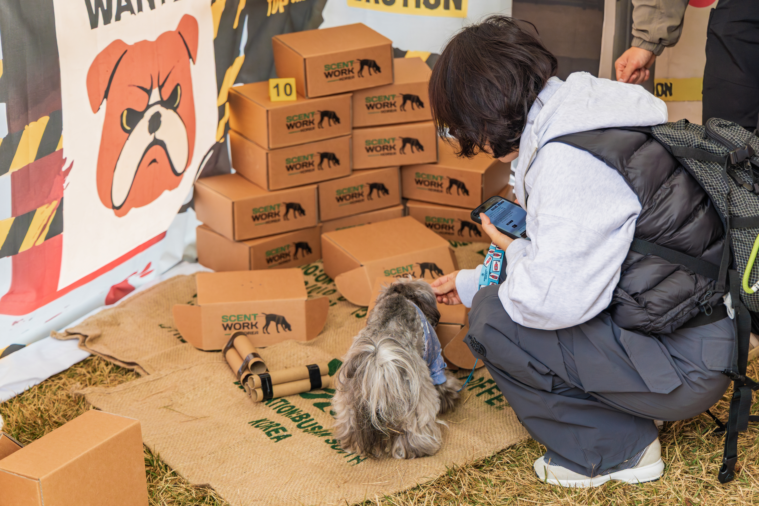 강천섬캠핑장 이미지