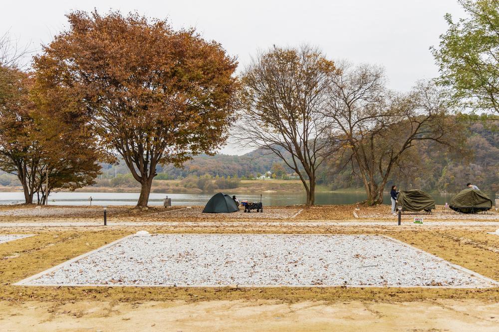 강천섬캠핑장