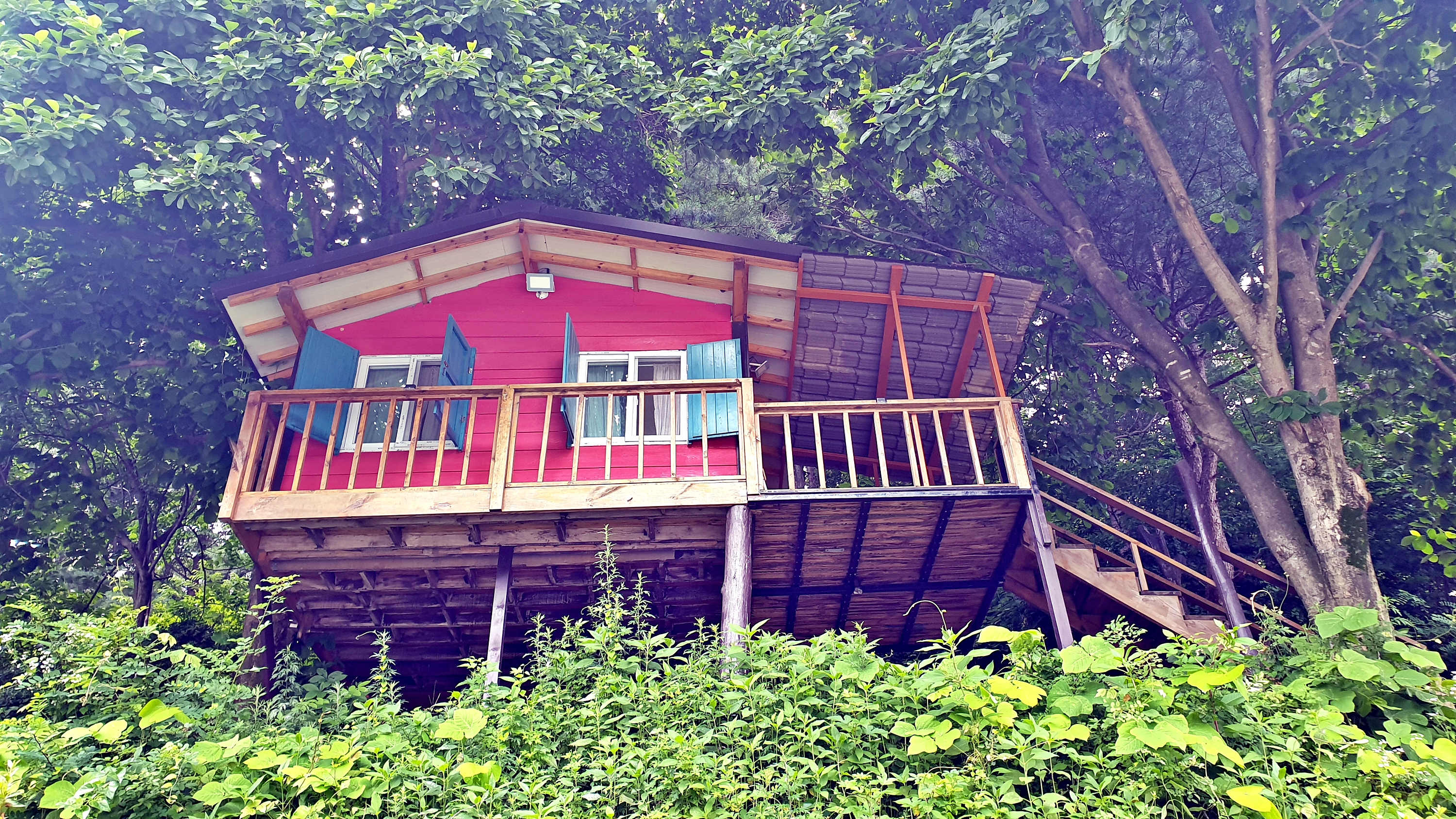 다올 캠핑장 41번째 이미지