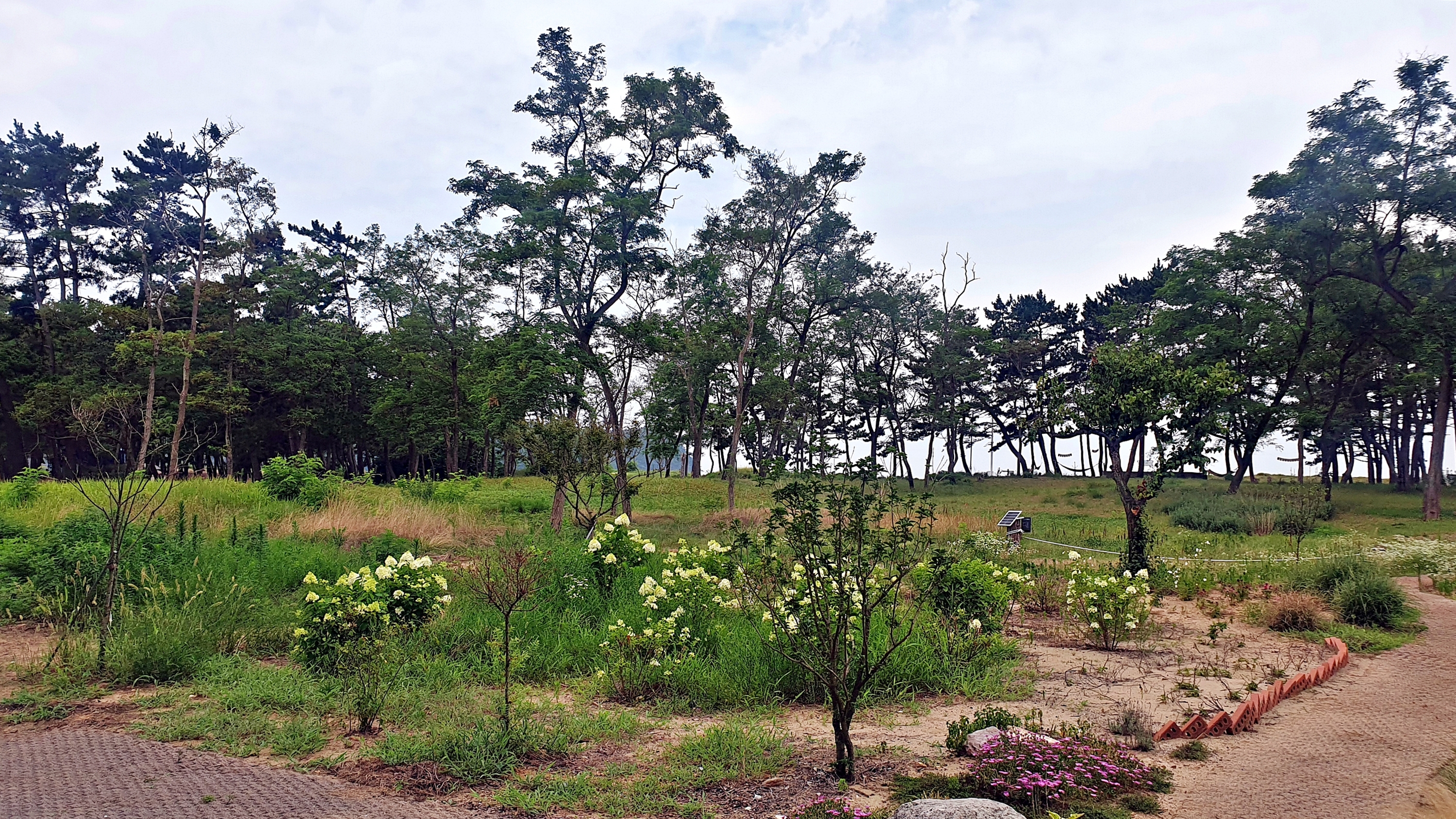 캠프 해놀 이미지