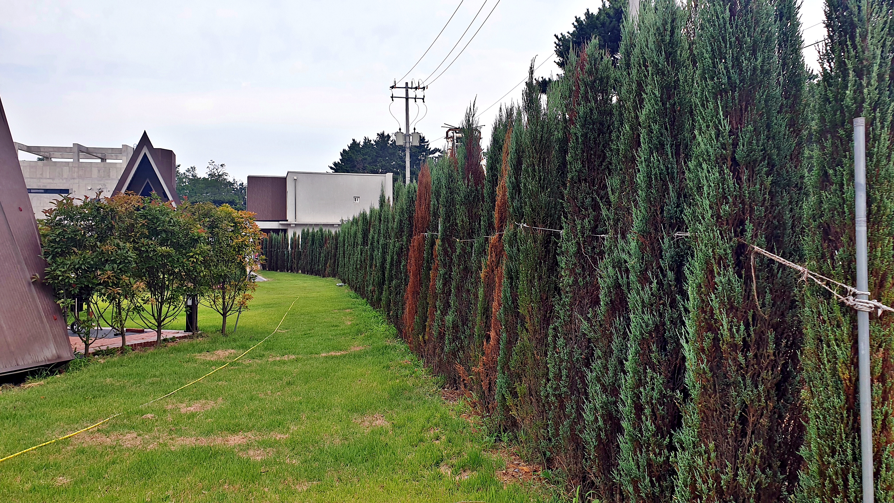 캠프 해놀 이미지