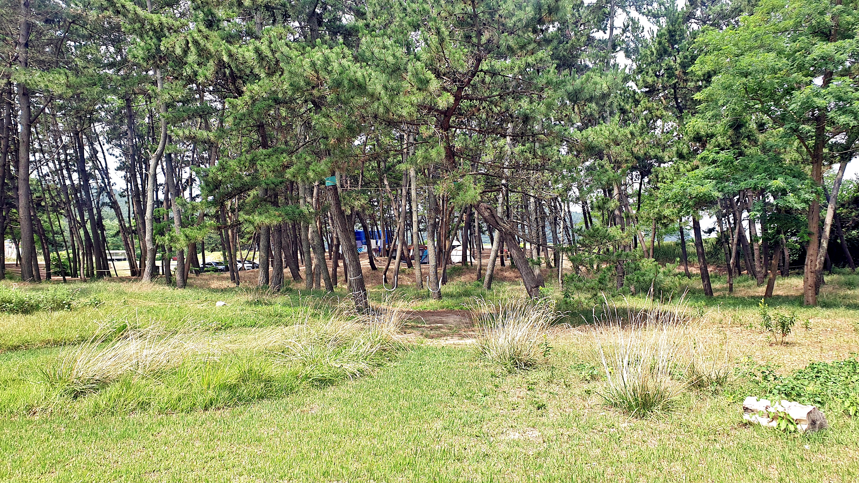 캠프 해놀 이미지