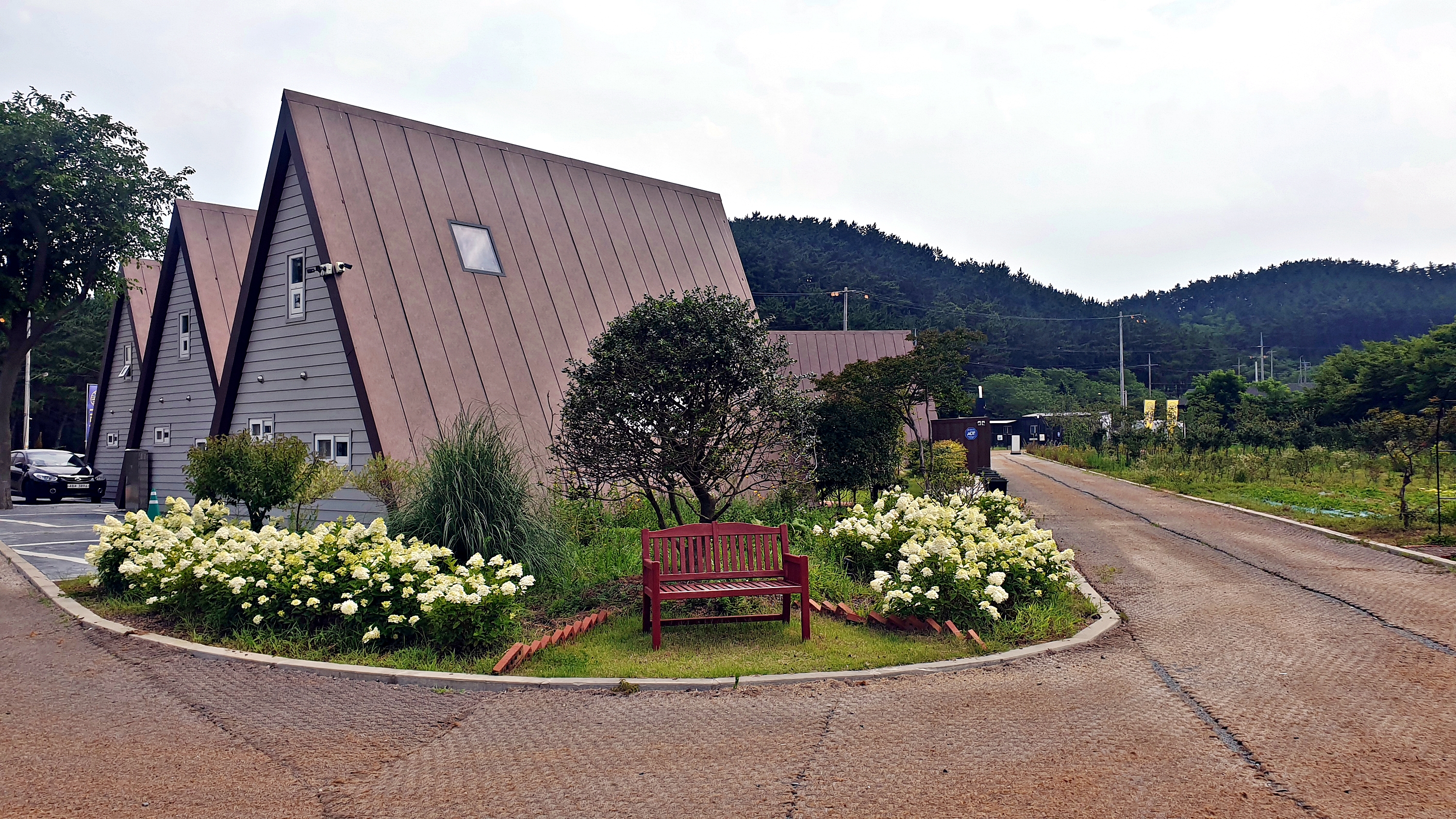 캠프 해놀 이미지