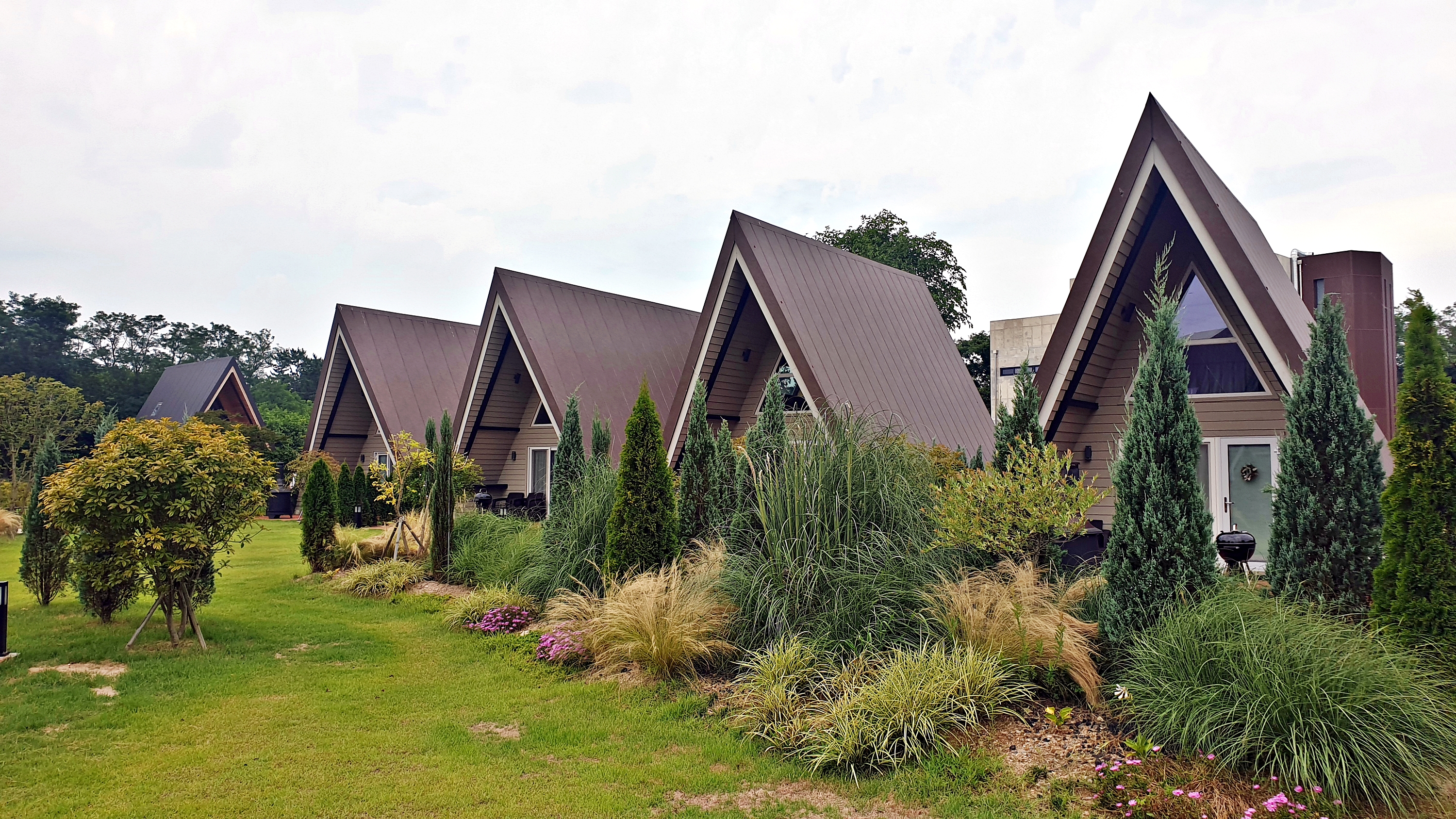 캠프 해놀 이미지