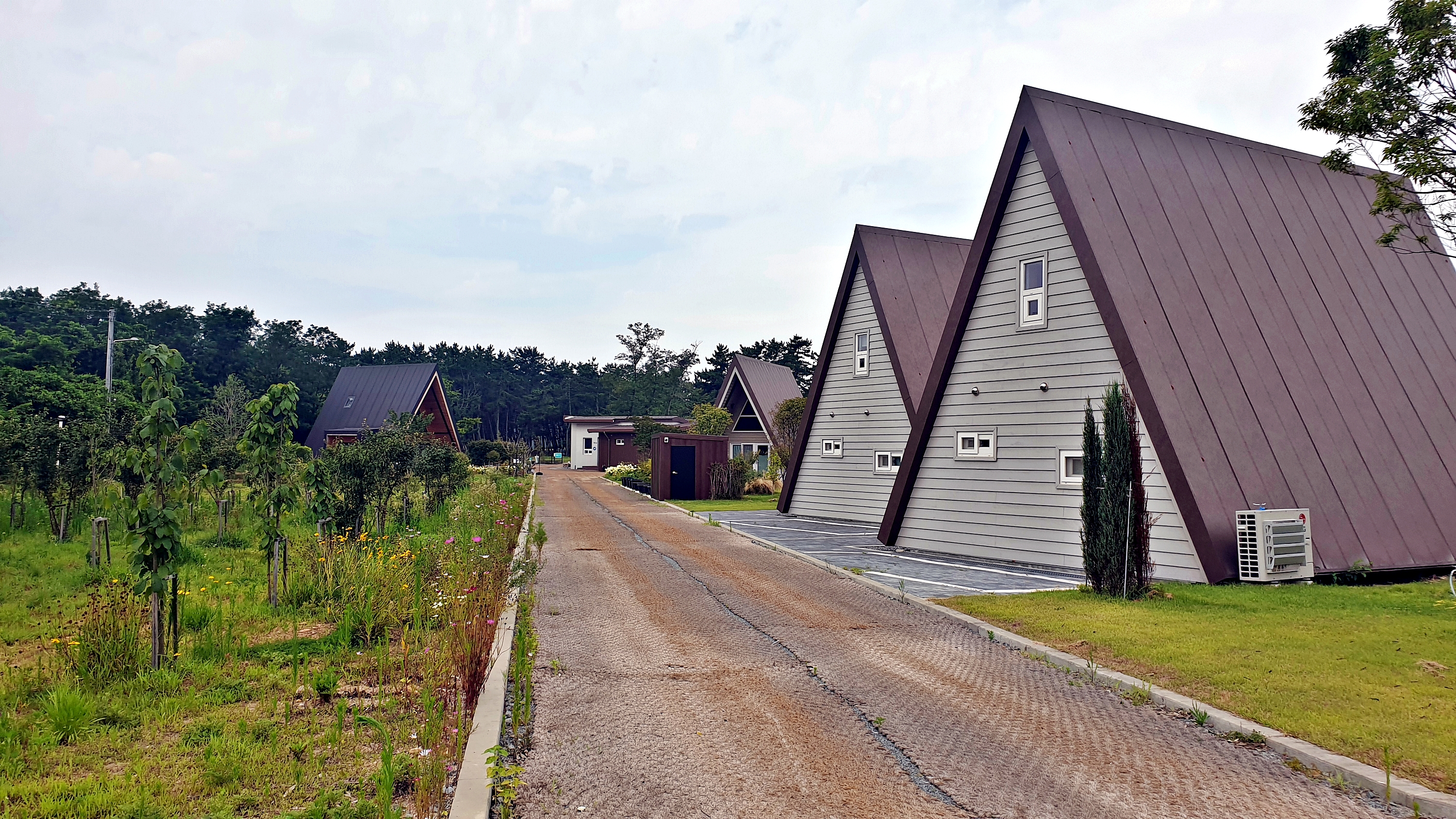 캠프 해놀 이미지