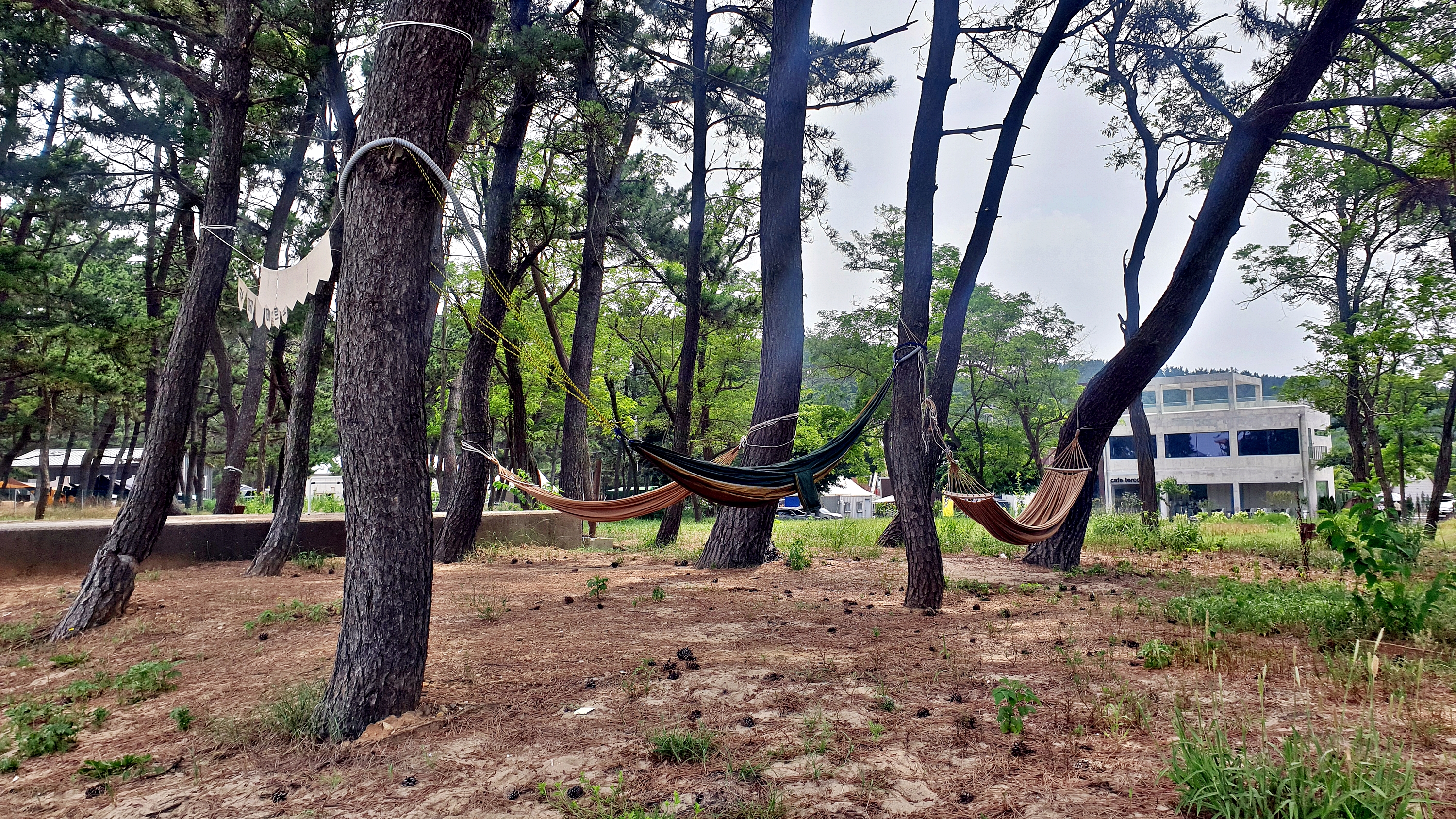 캠프 해놀 이미지