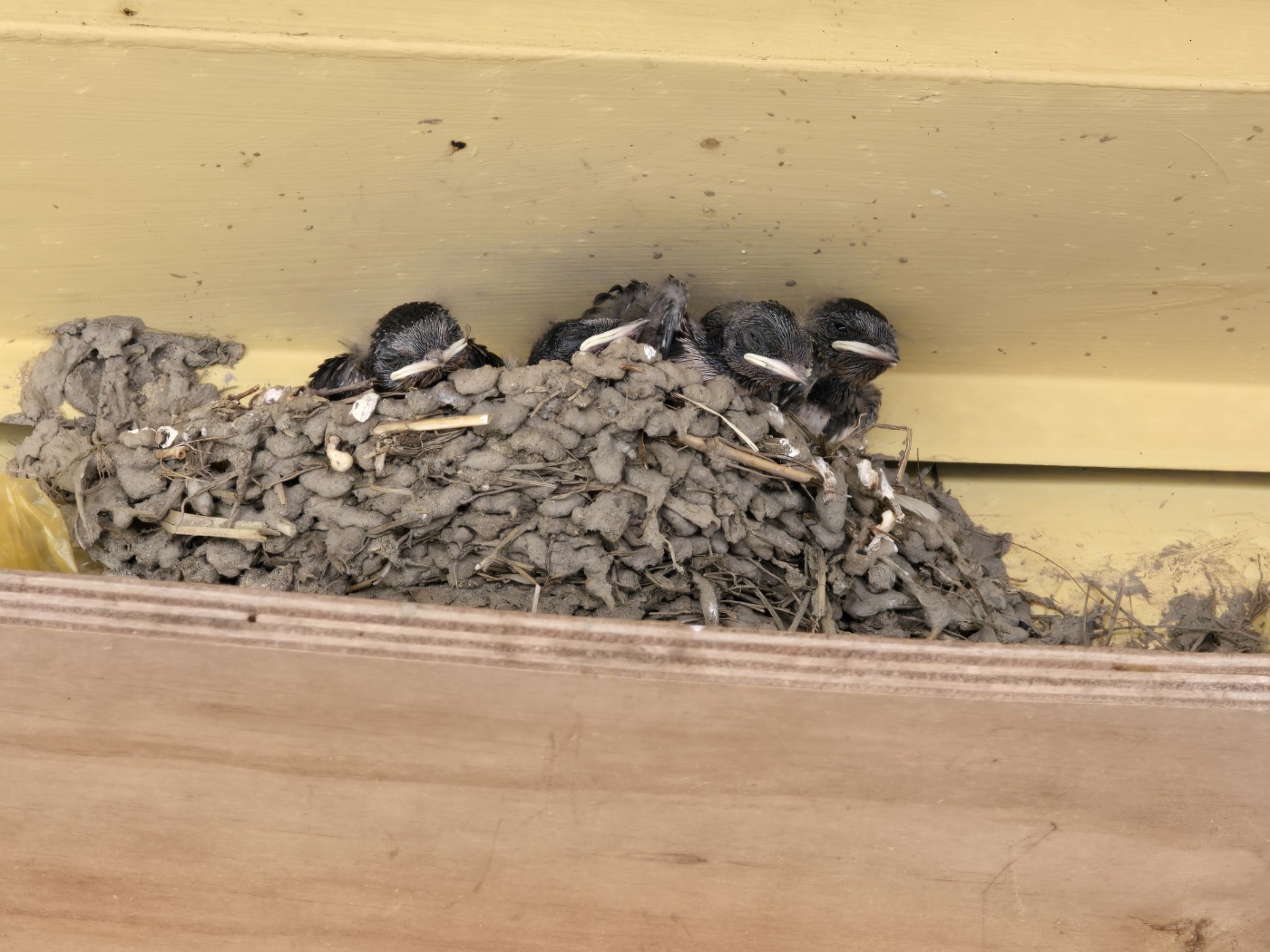 내안에 쉼 캠핑파크 이미지