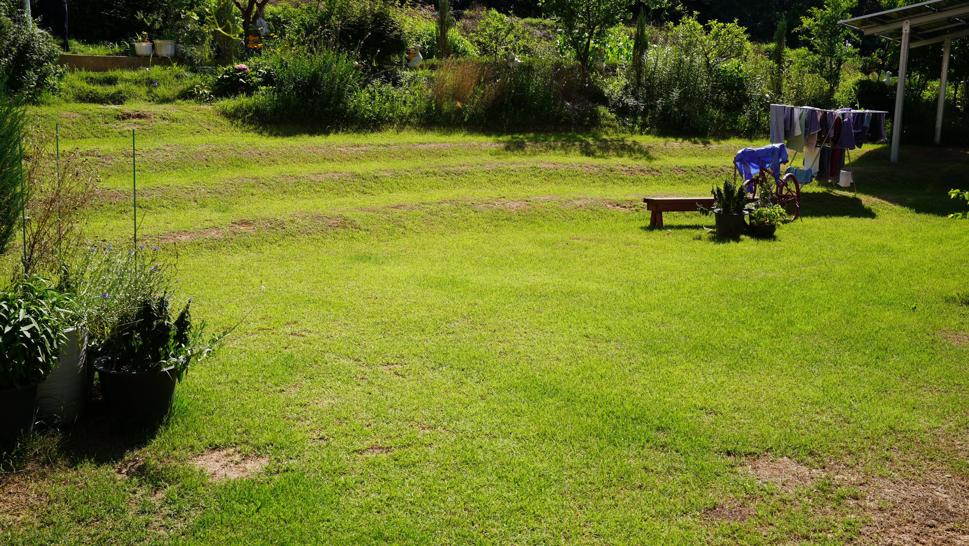 하늘숲 야영장 28번째 이미지