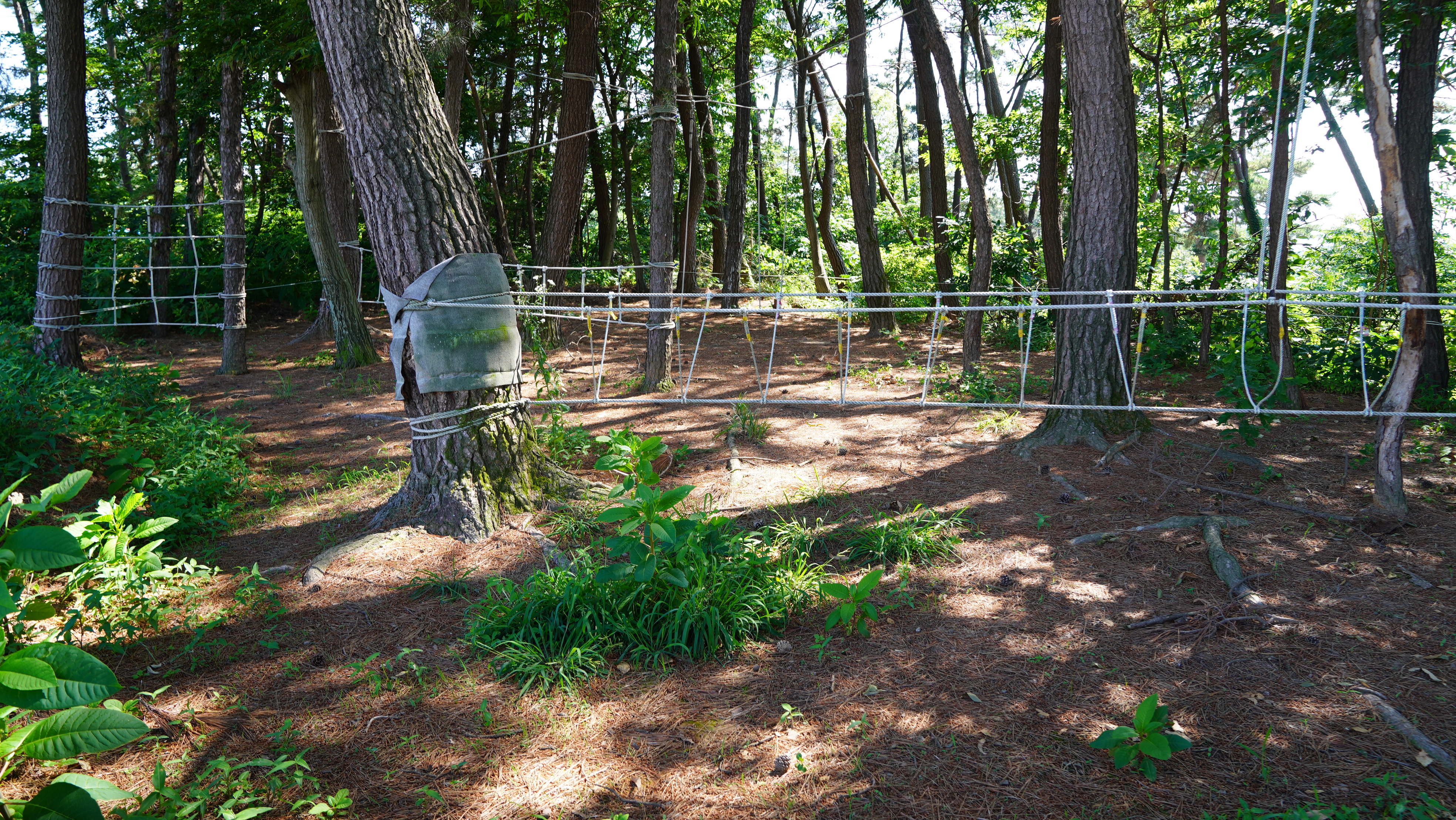 하늘숲 야영장 27번째 이미지