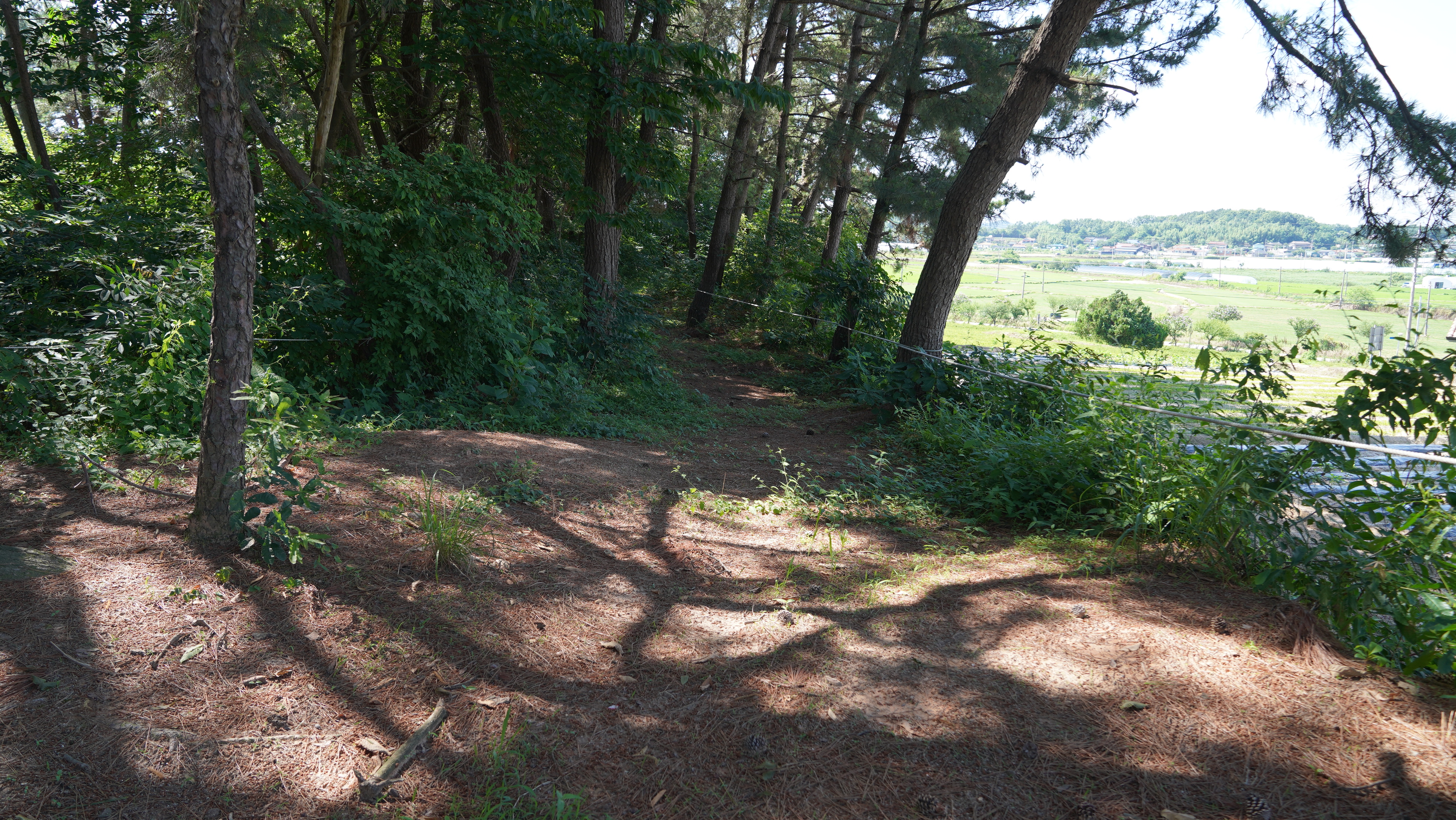 하늘숲 야영장 26번째 이미지