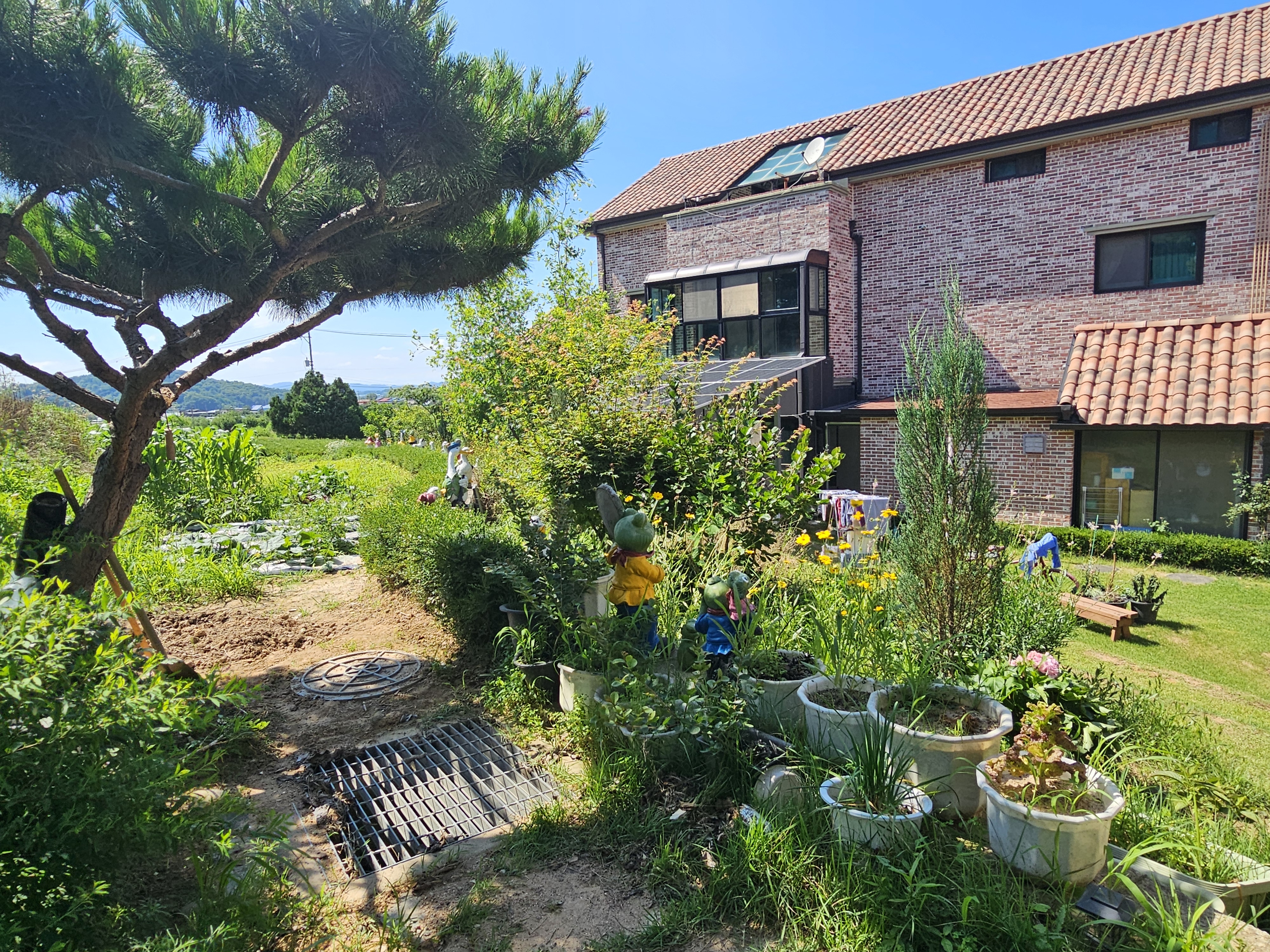 하늘숲 야영장 21번째 이미지