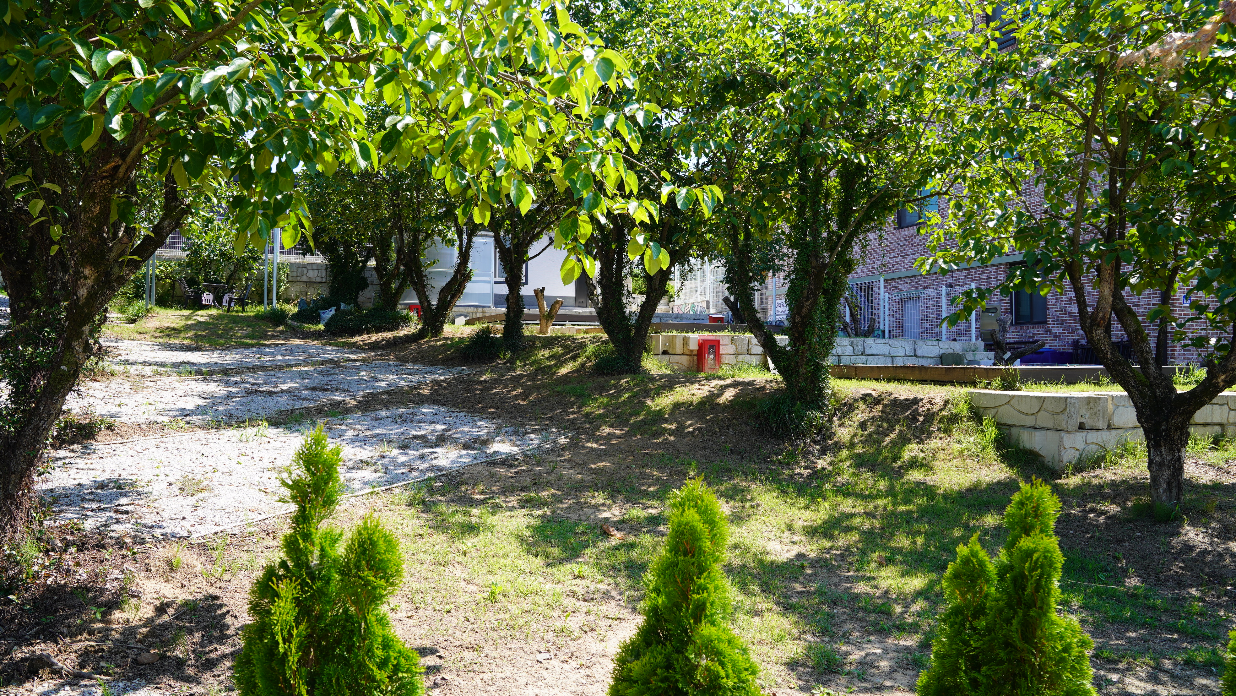 하늘숲 야영장 6번째 이미지