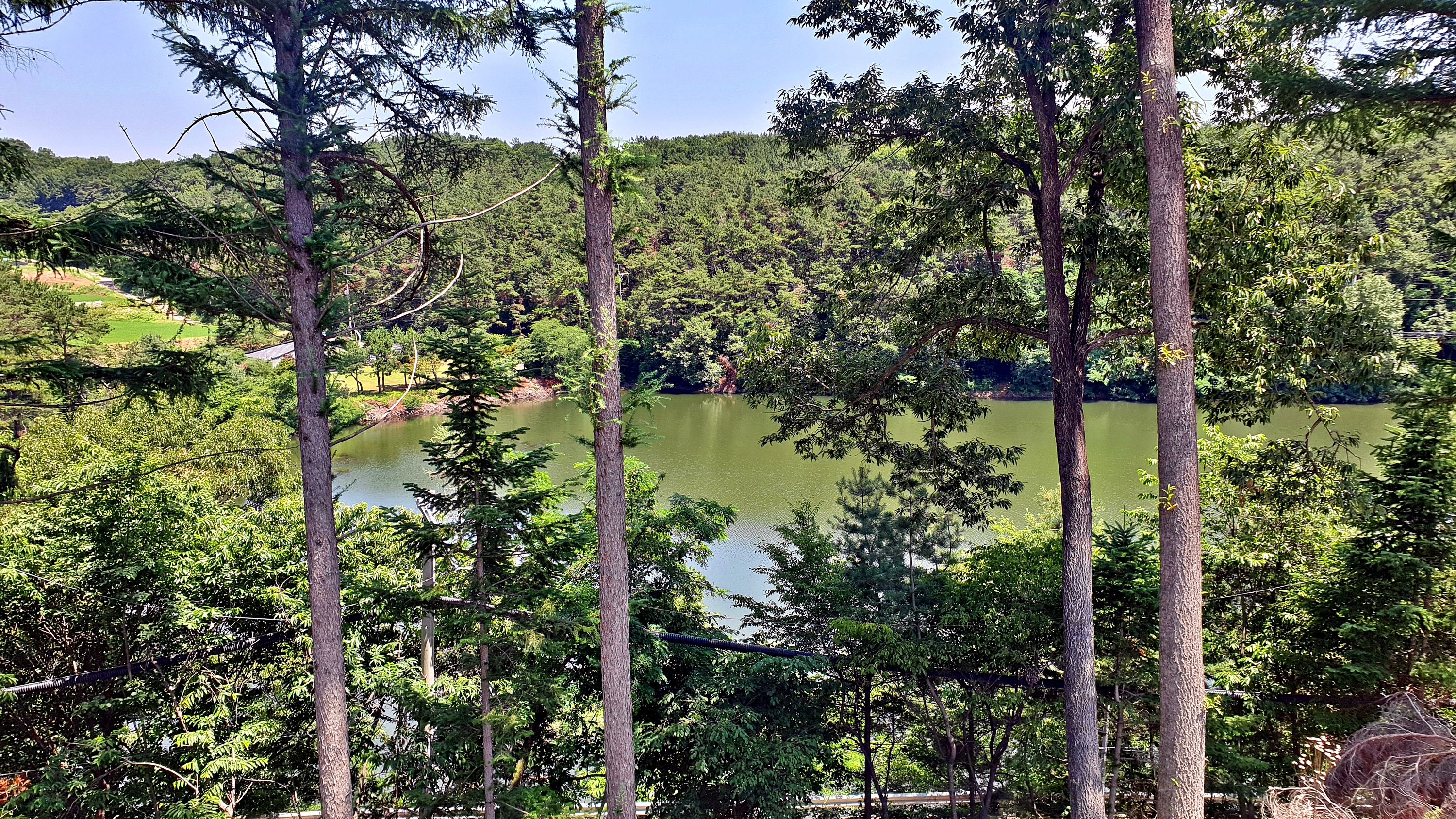 산정원 32번째 이미지