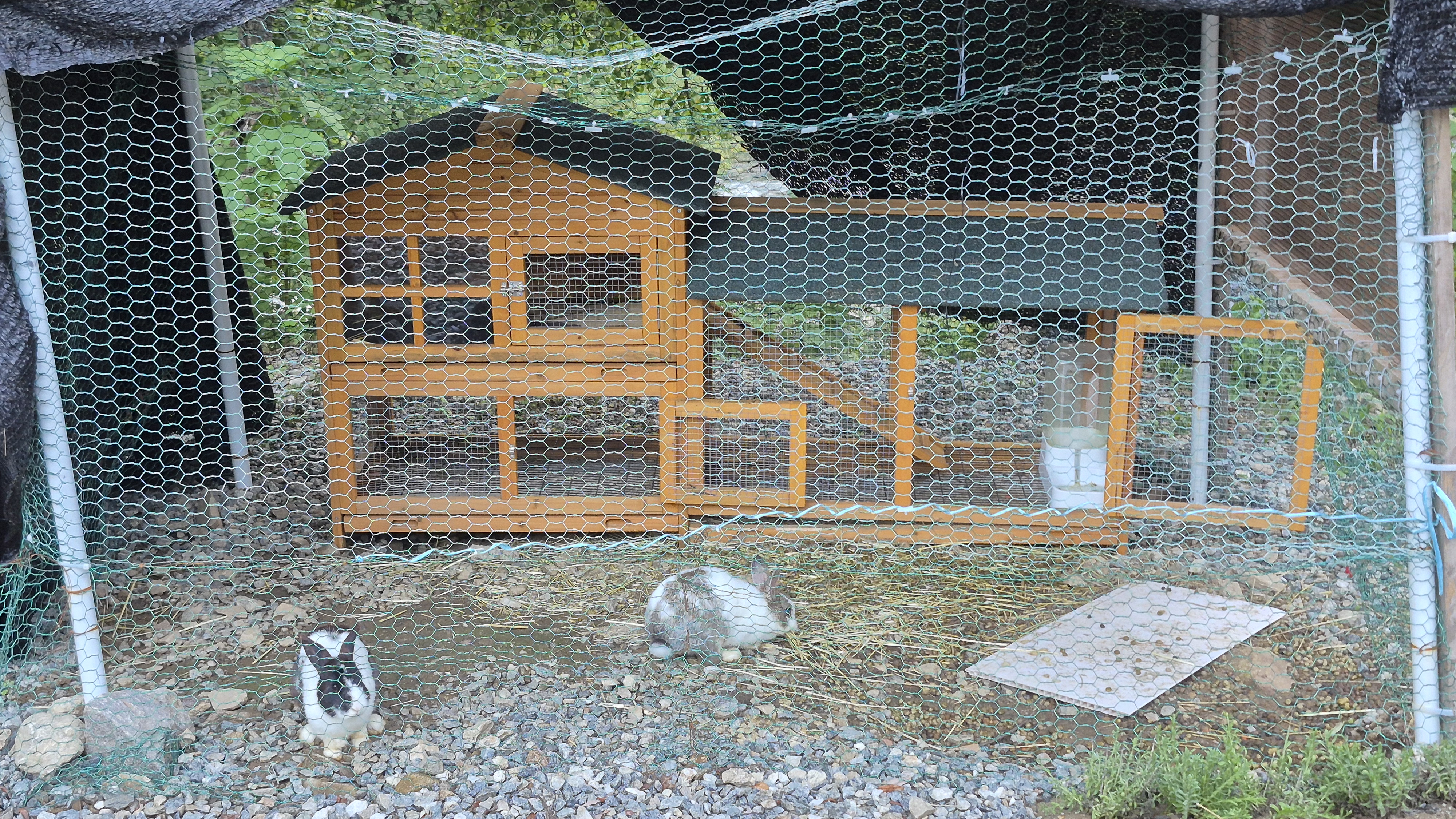 레드우드캠핑장 이미지