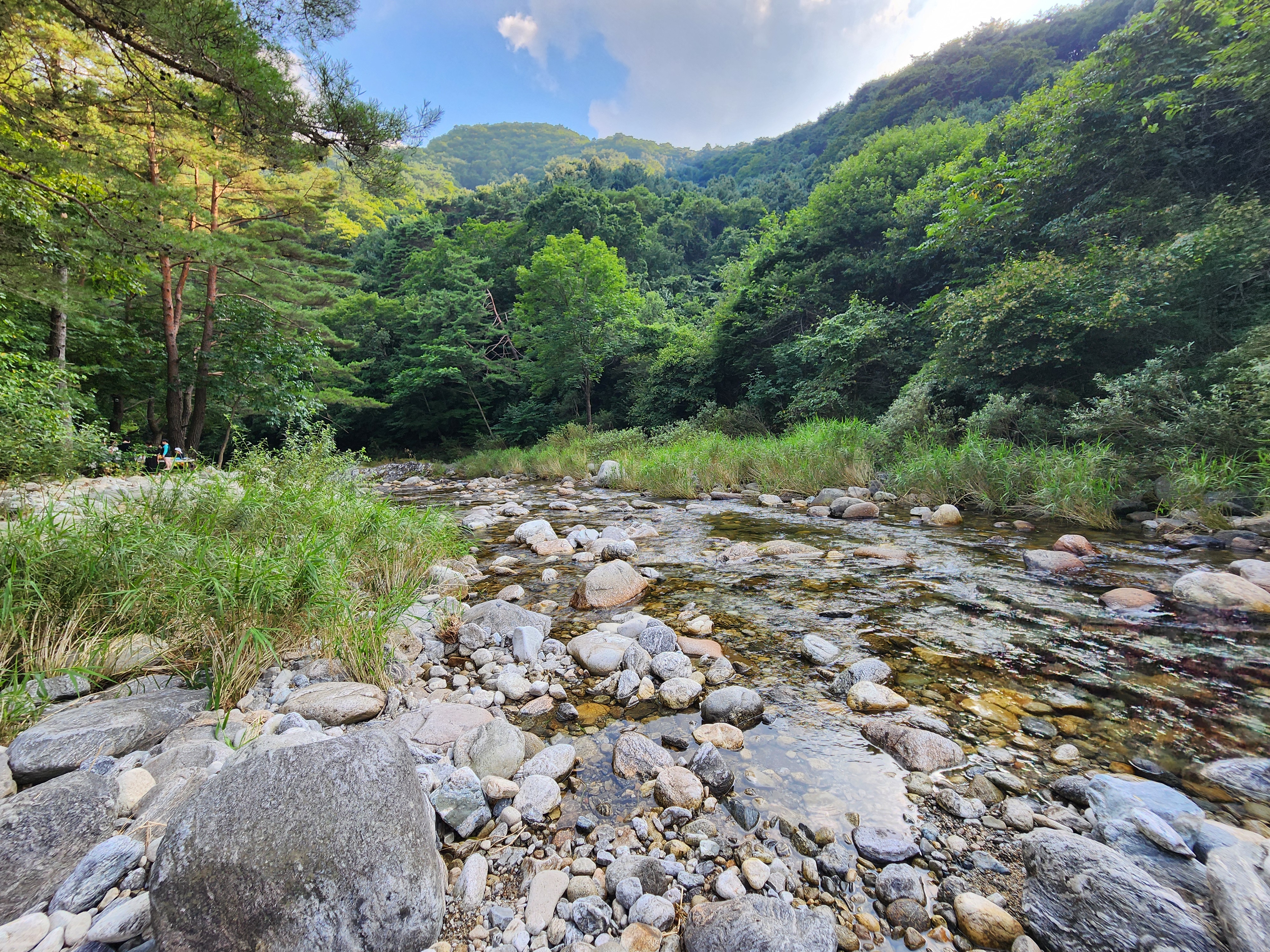 레드우드캠핑장 이미지