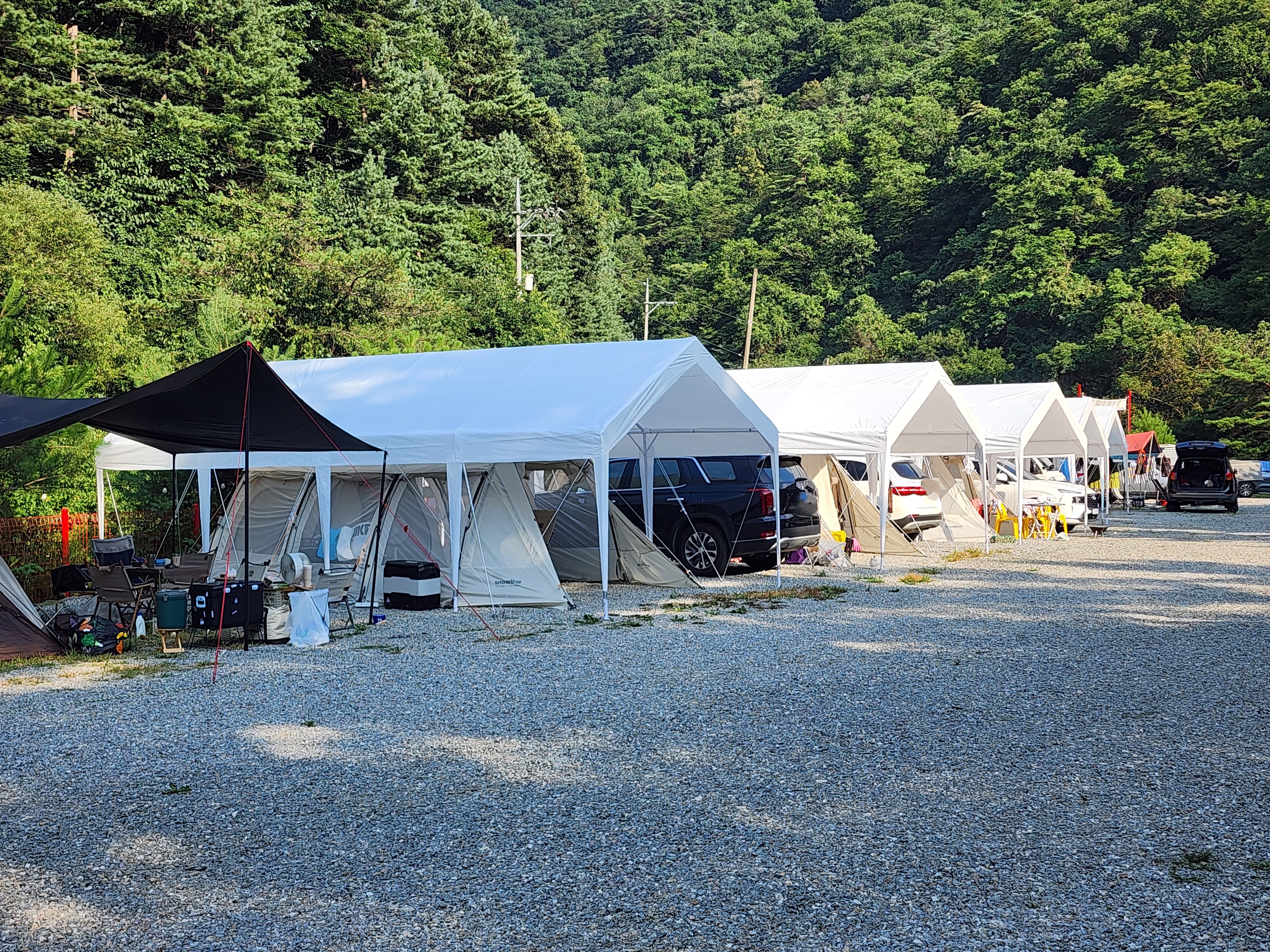 레드우드캠핑장 이미지