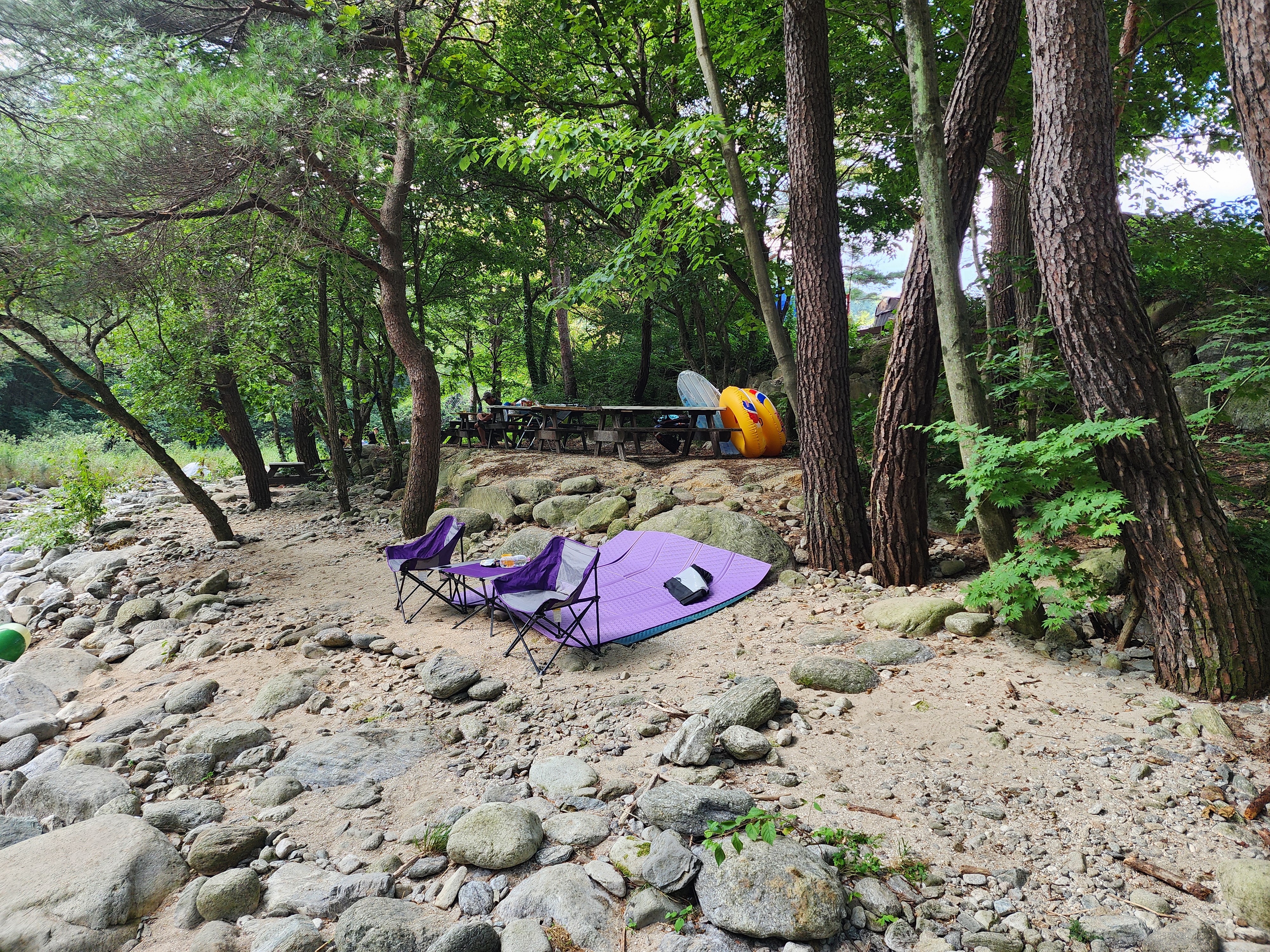 레드우드캠핑장 이미지