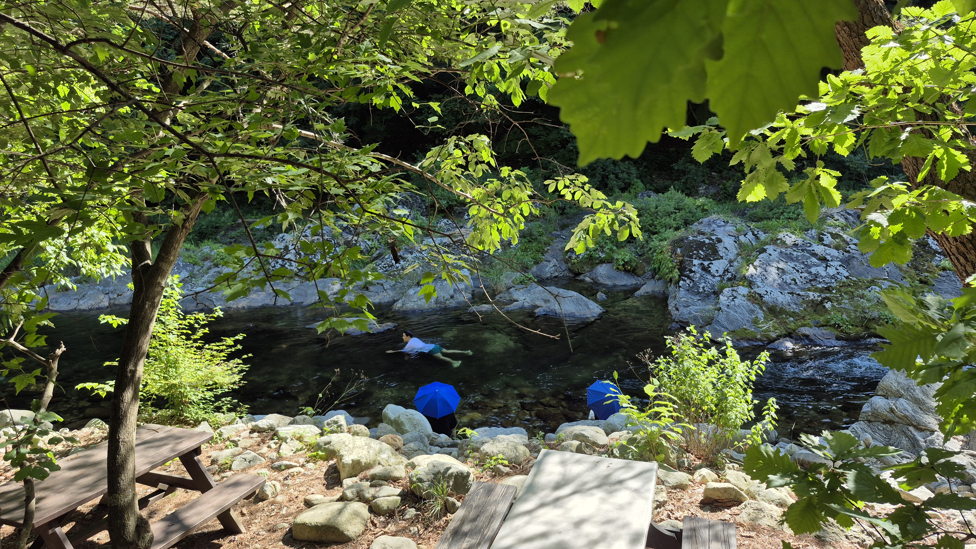 레드우드캠핑장 이미지