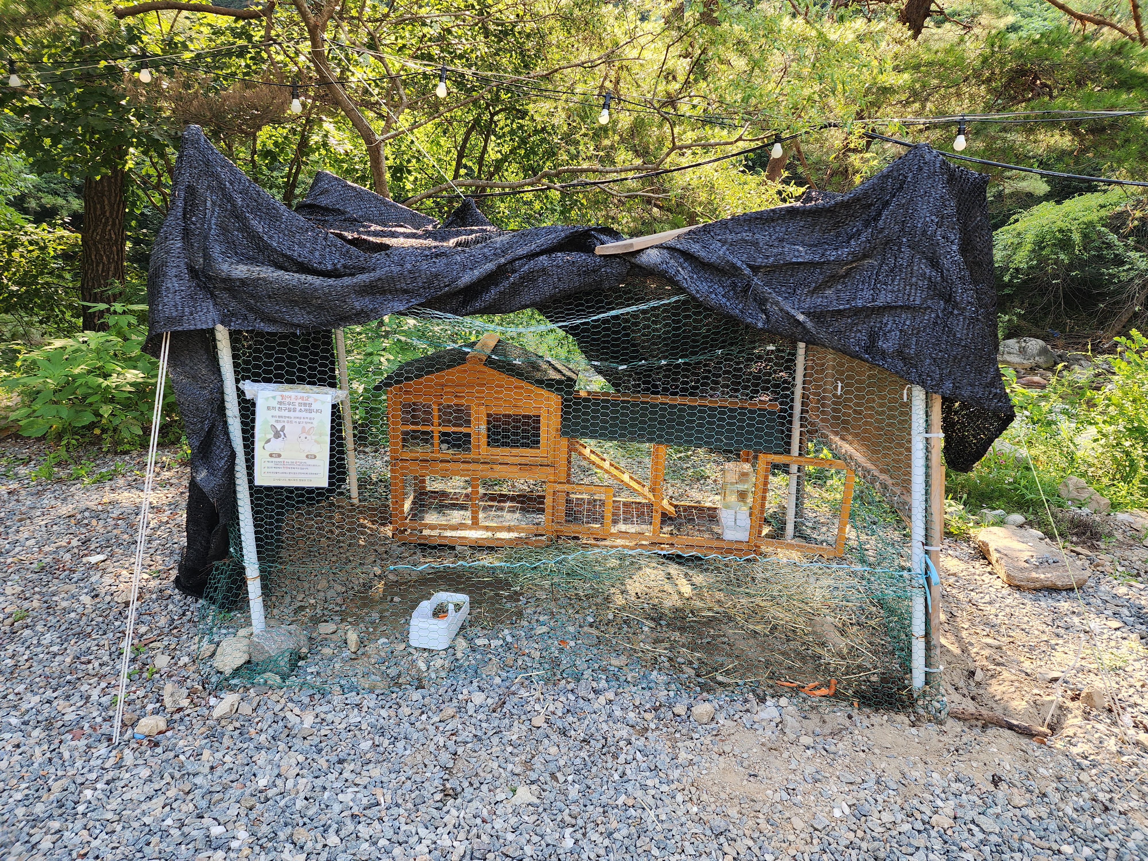 레드우드캠핑장 이미지