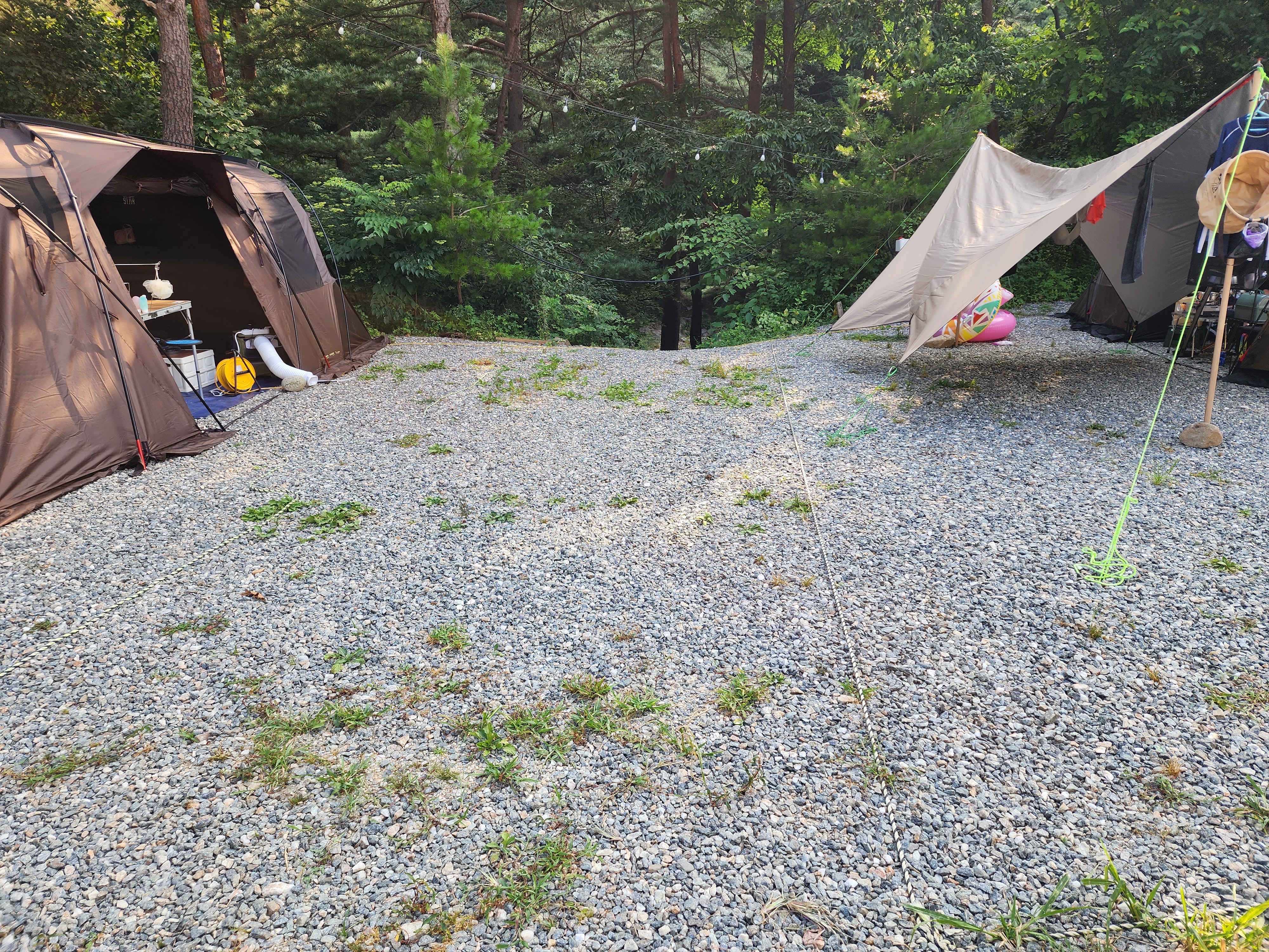 레드우드캠핑장 이미지