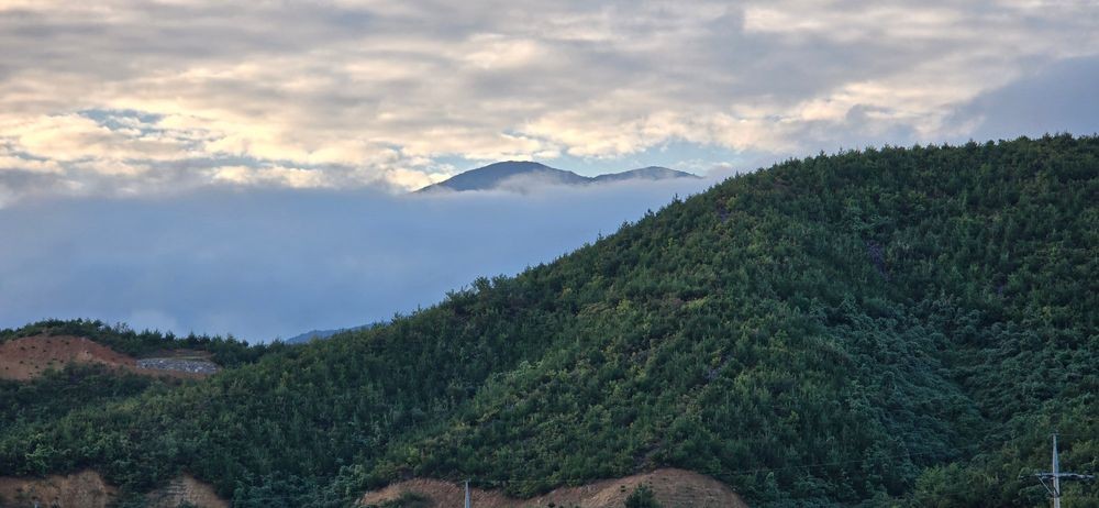 밤하늘별캠프 5번째 이미지