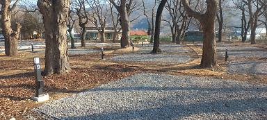 선돌느티나무캠핑마을 영농조합법인 사진