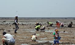 선감 캠핑장 5번째 이미지