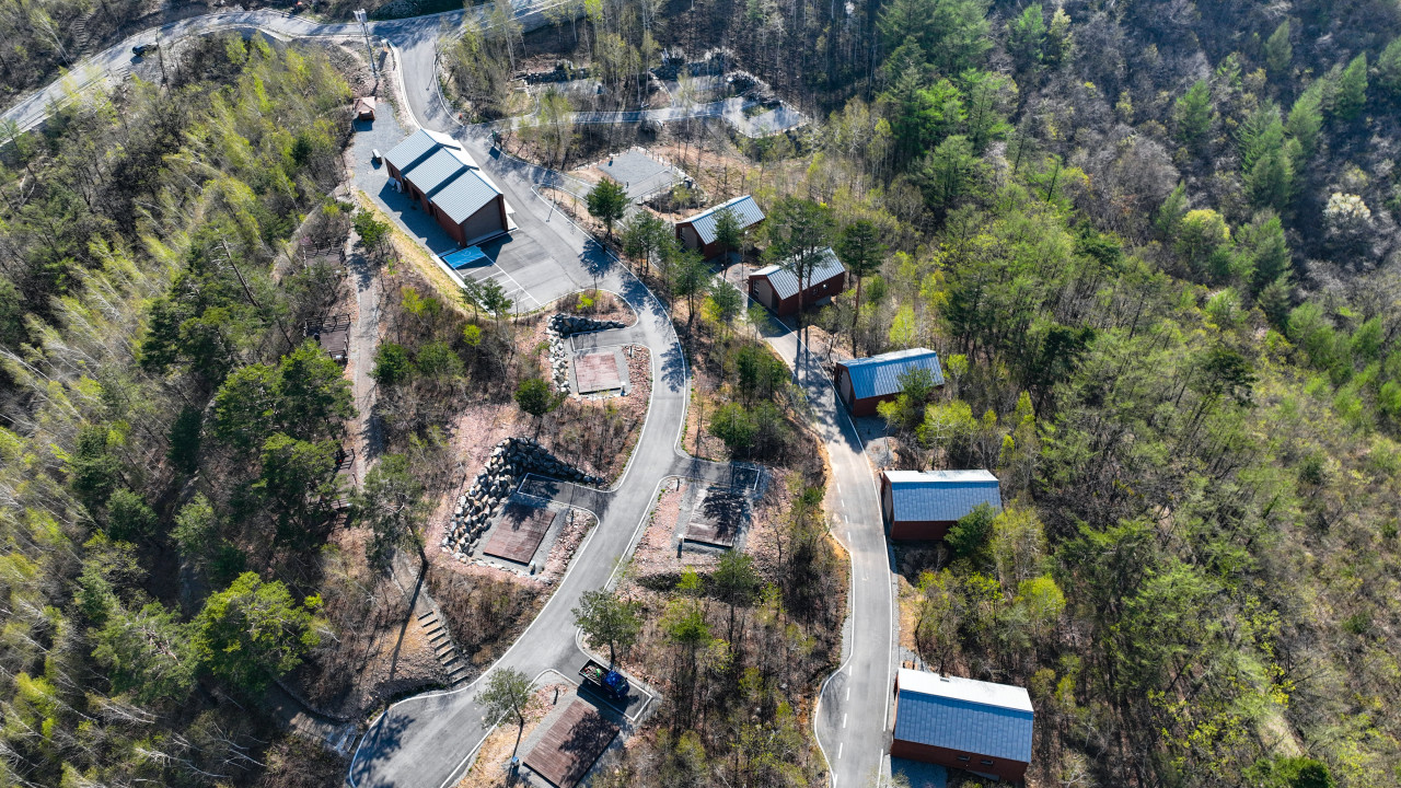 매봉산 천상의 숲 2번째 이미지
