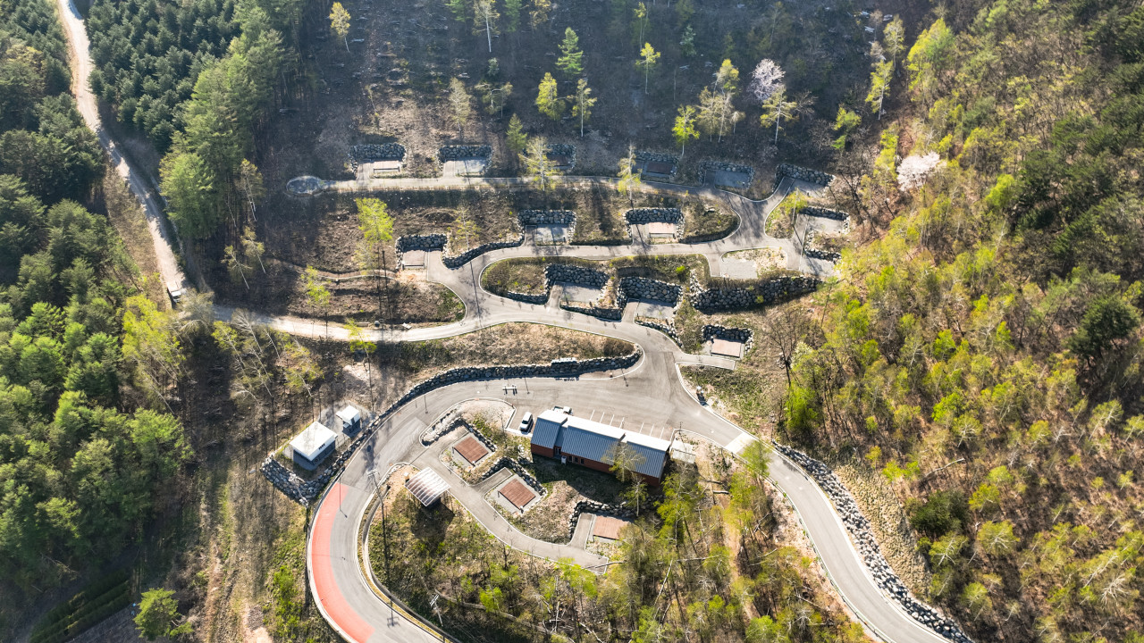 매봉산 천상의 숲 12번째 이미지